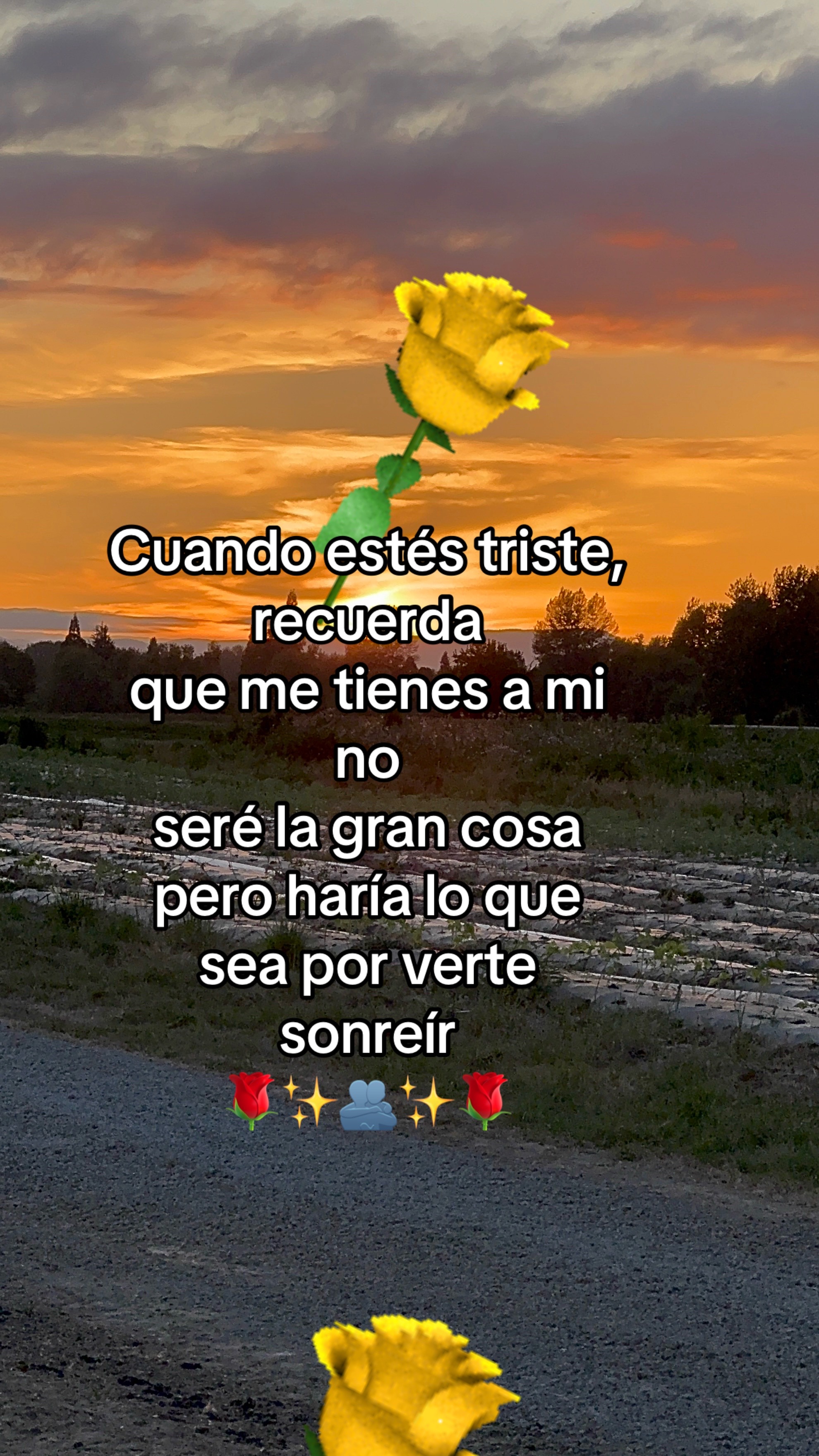 @pablocarbajal63