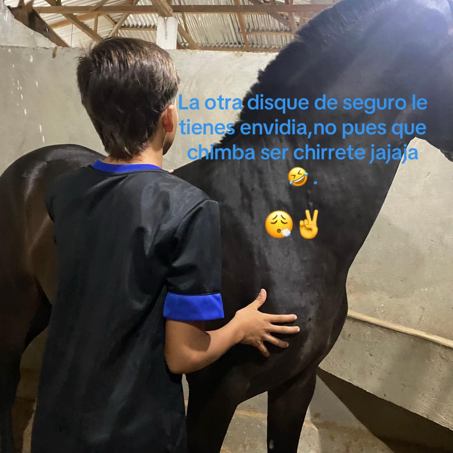 @Lucas Fernandez