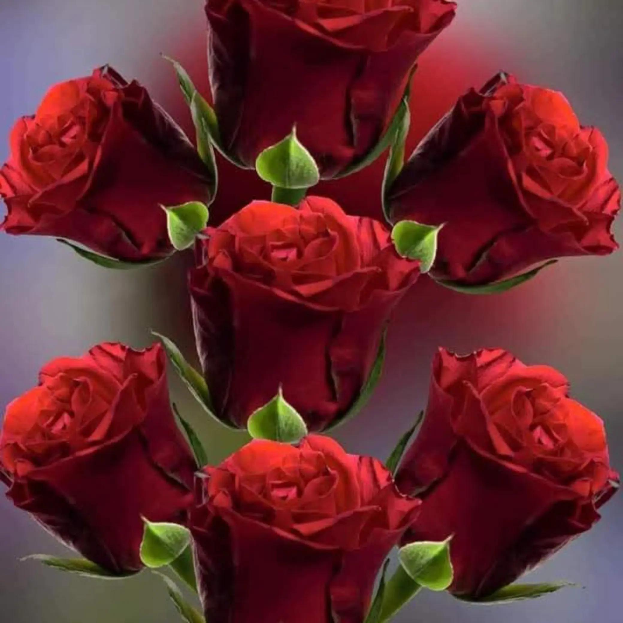 @hi