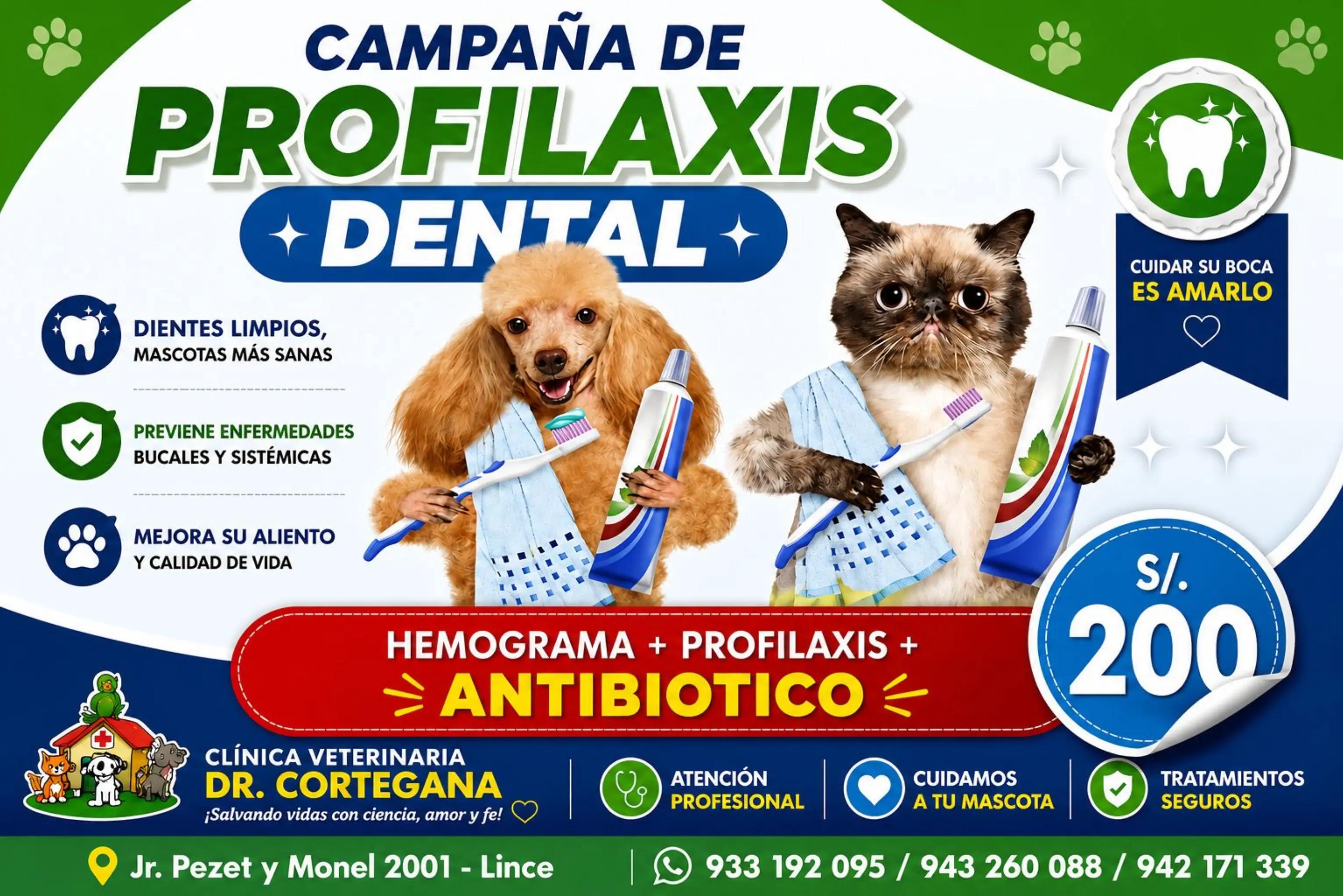 @VETERINARIA DR. CORTEGANA