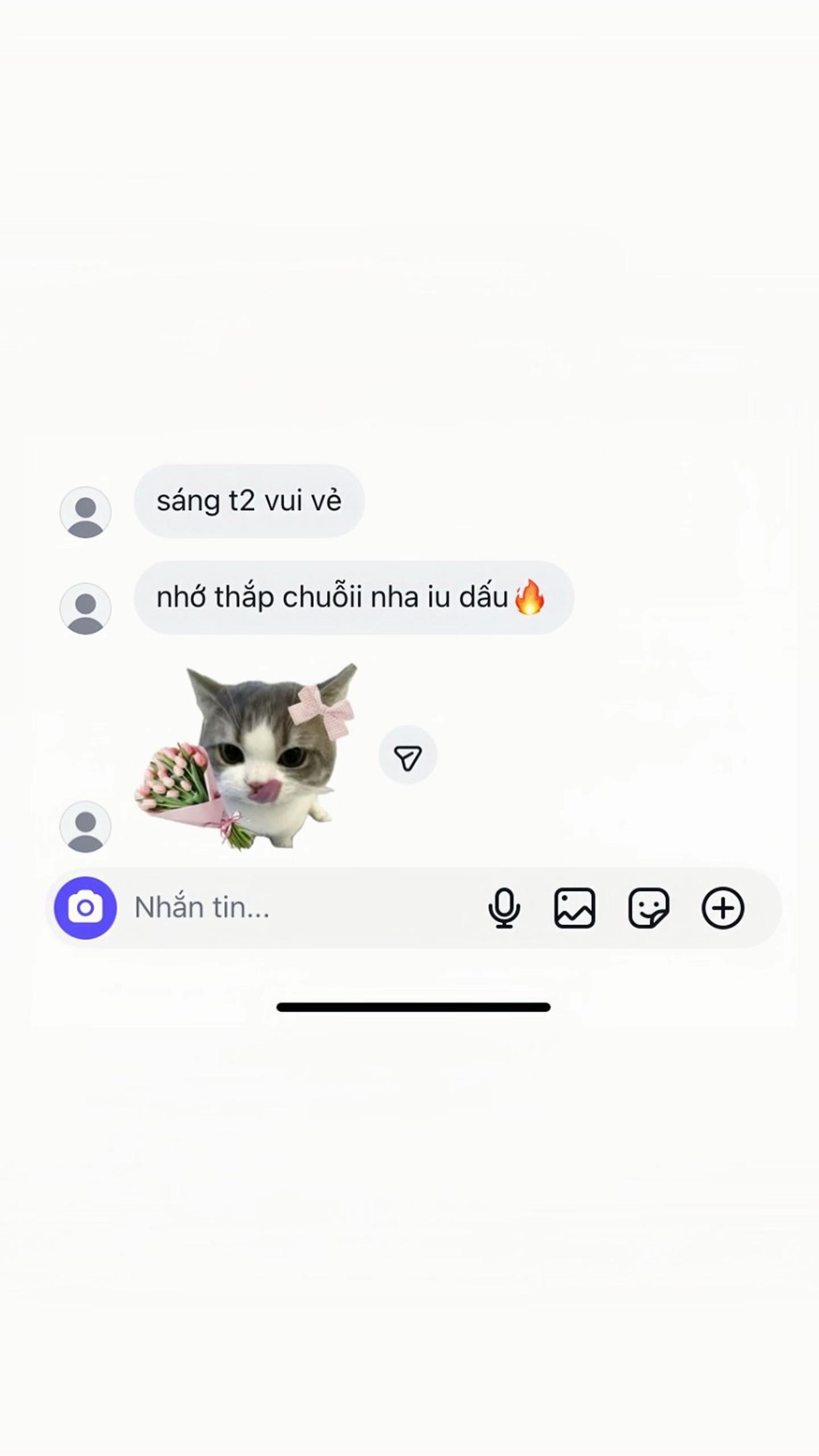 @치즈