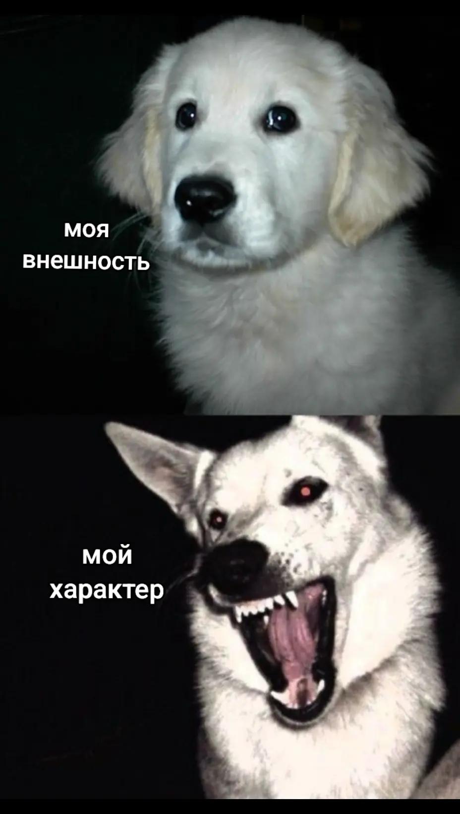 @сонная артерия