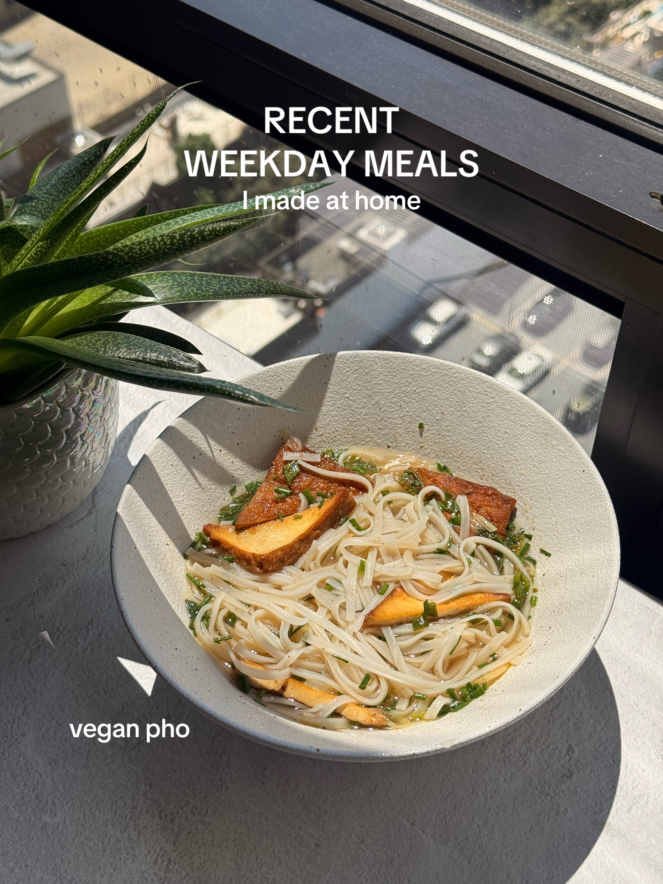 @Devanshi ๐ vegetarian recipes