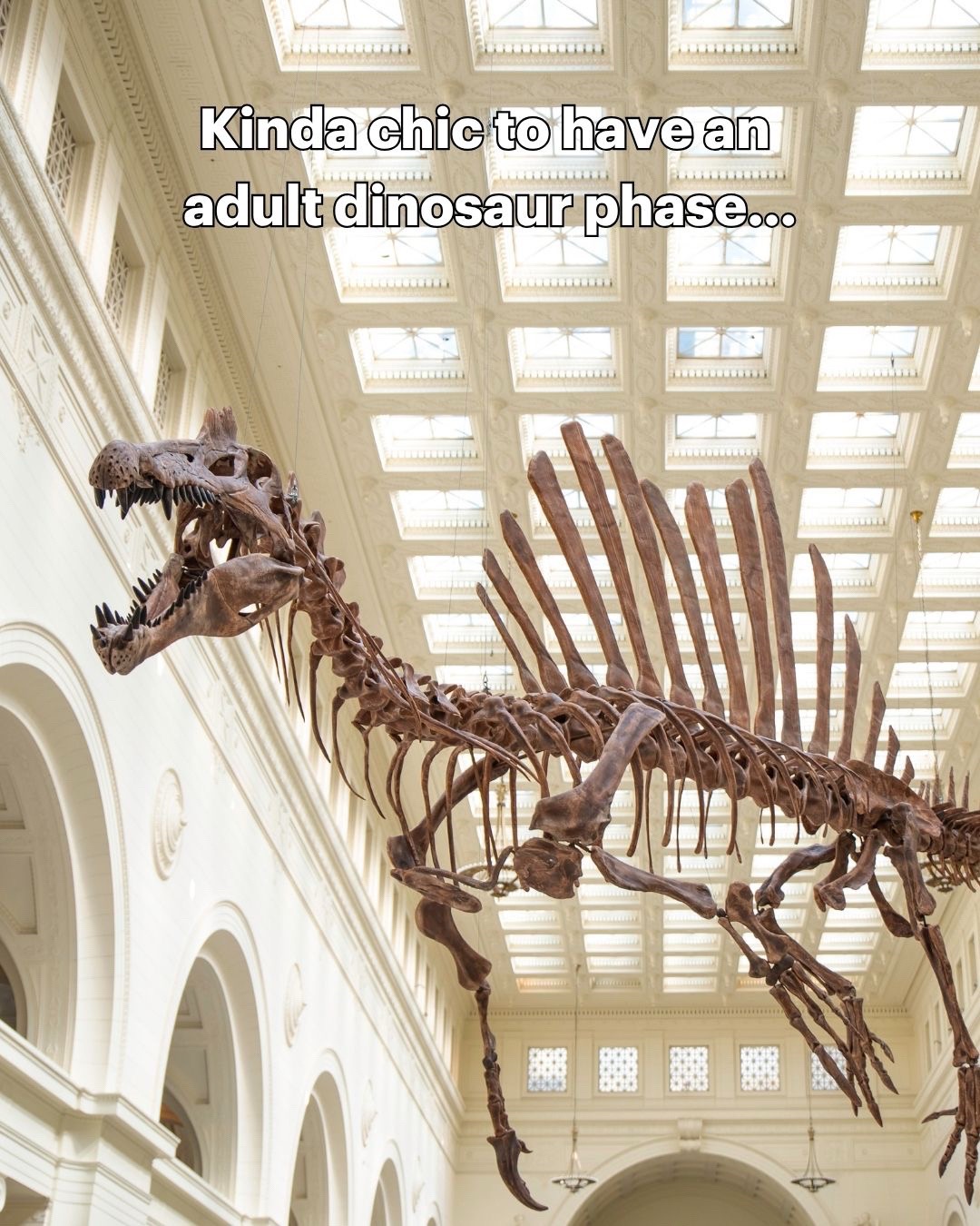 @Field Museum