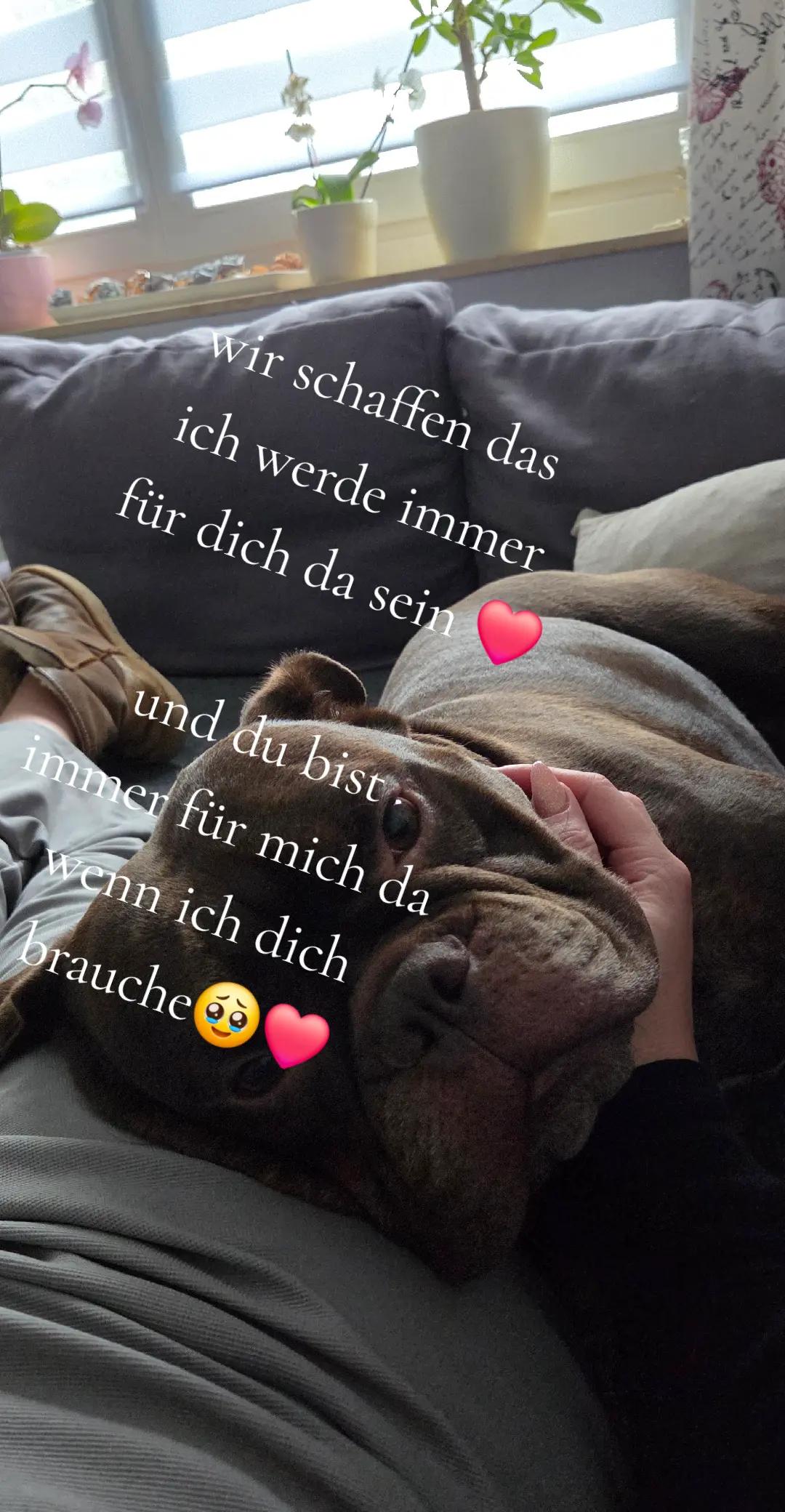 @quaki07