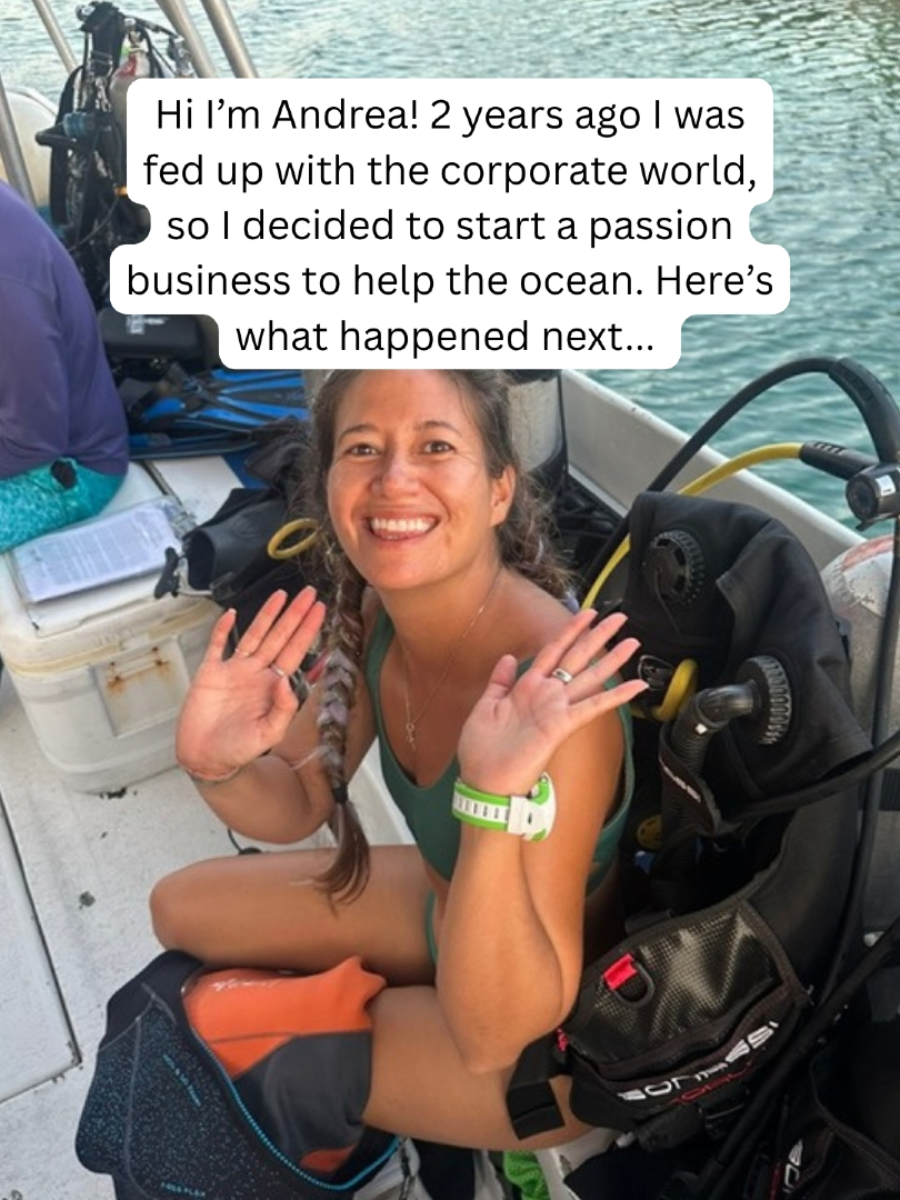 @The Dive Compass