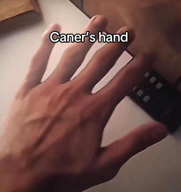 @𝒵𝑒𝓎𝓃𝑒𝓅&rsquo;𝓈 𝐵𝒶𝒷𝓎