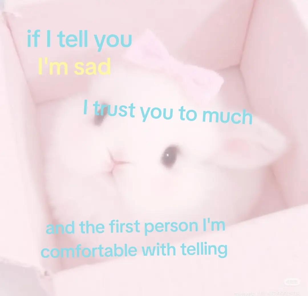 @๐ก๐ฎ๐ญ ๐ฟ๐ฎ๐ต๐ฟ๐ฎ๐ฝ๏ฝกโงหส๐ษหโง๏ฝก