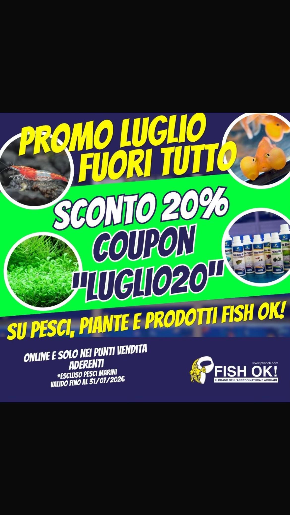 @Fish Ok