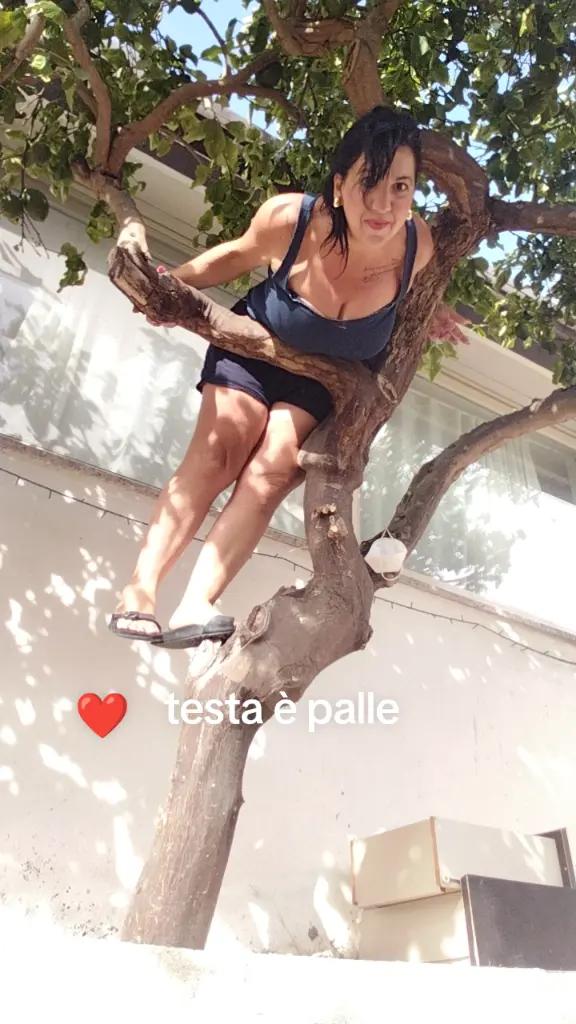 @Carmela Basile