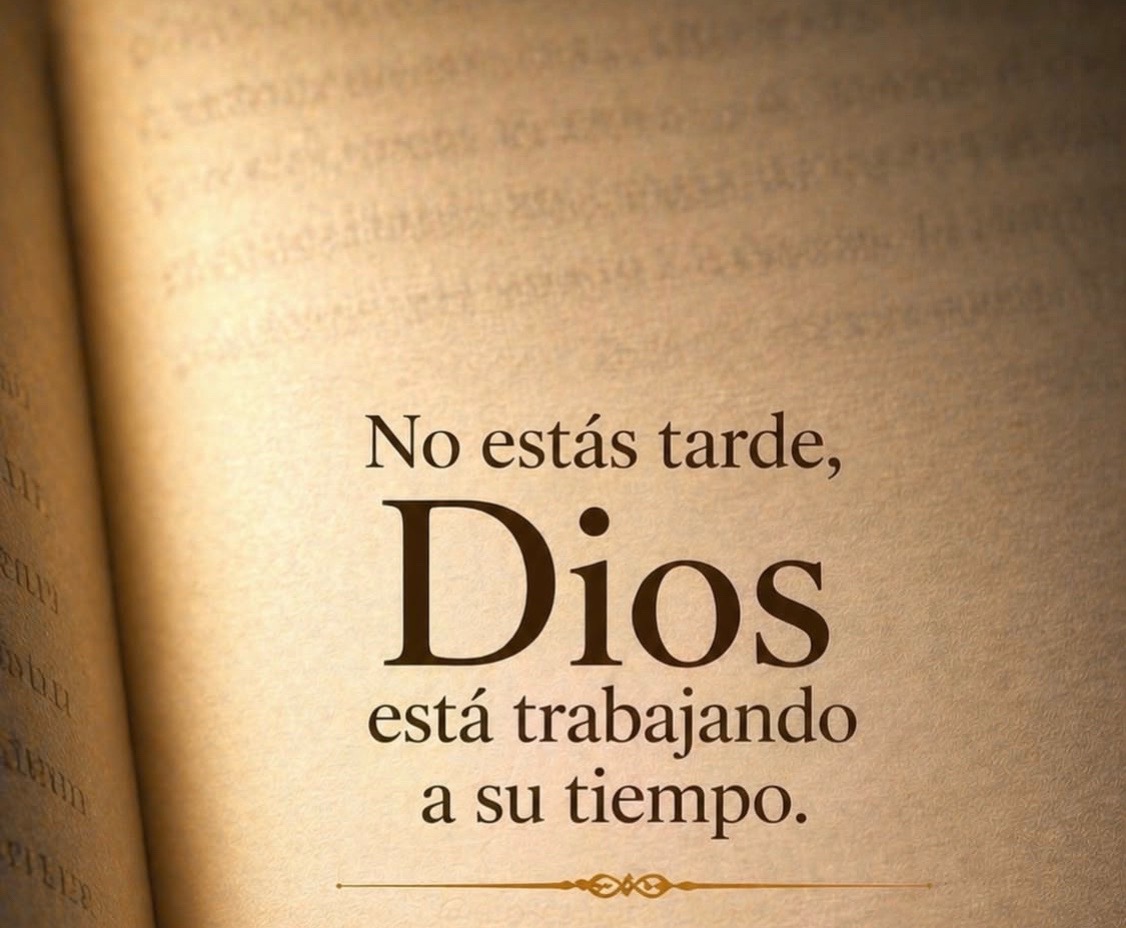 @Mainor Garcia