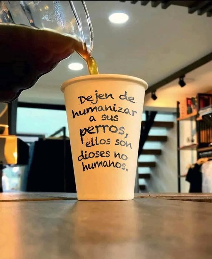 @Diego Goldemberg