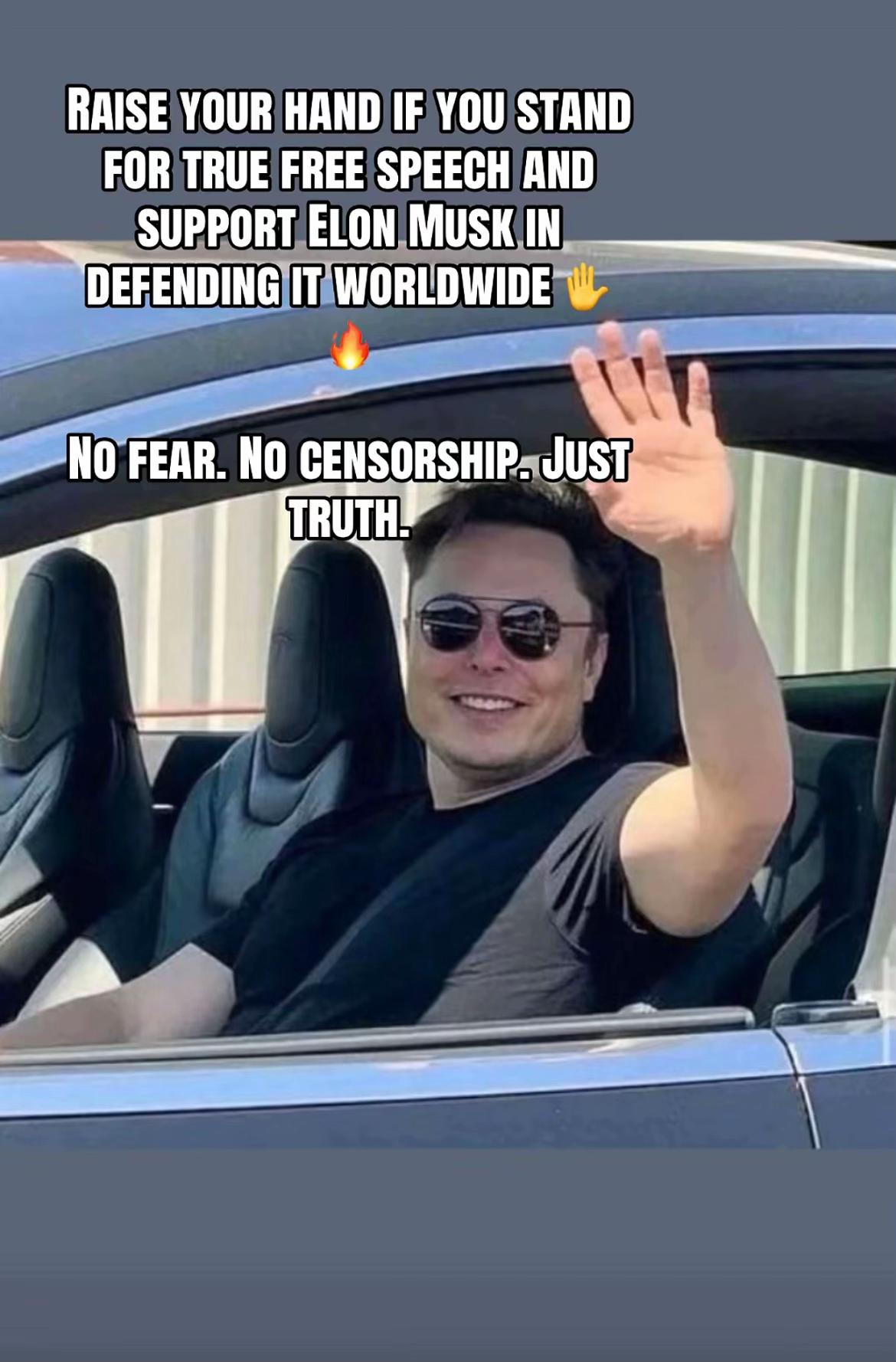 @Elon Musk
