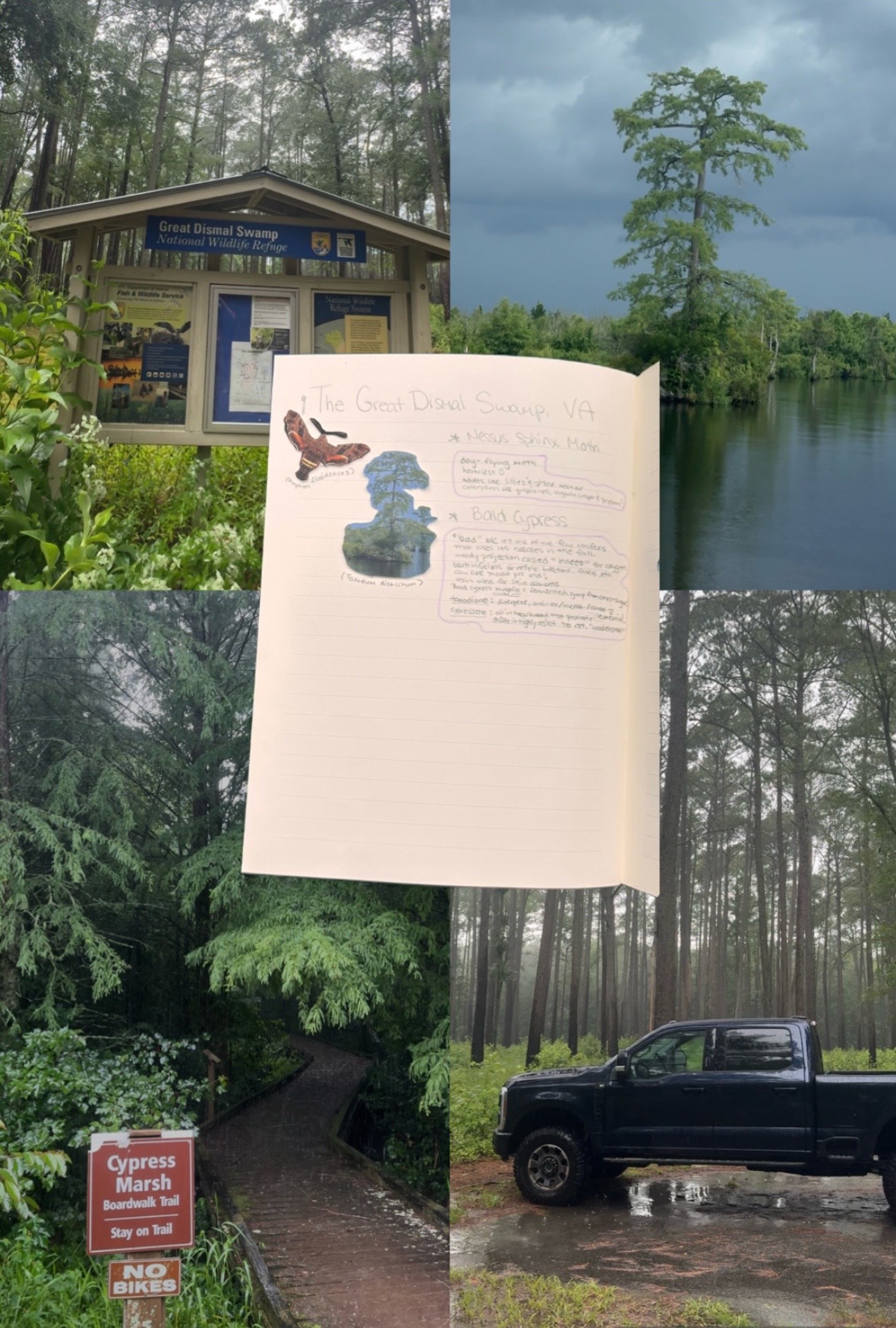@Nic🌲Solo Traveler & Adventure