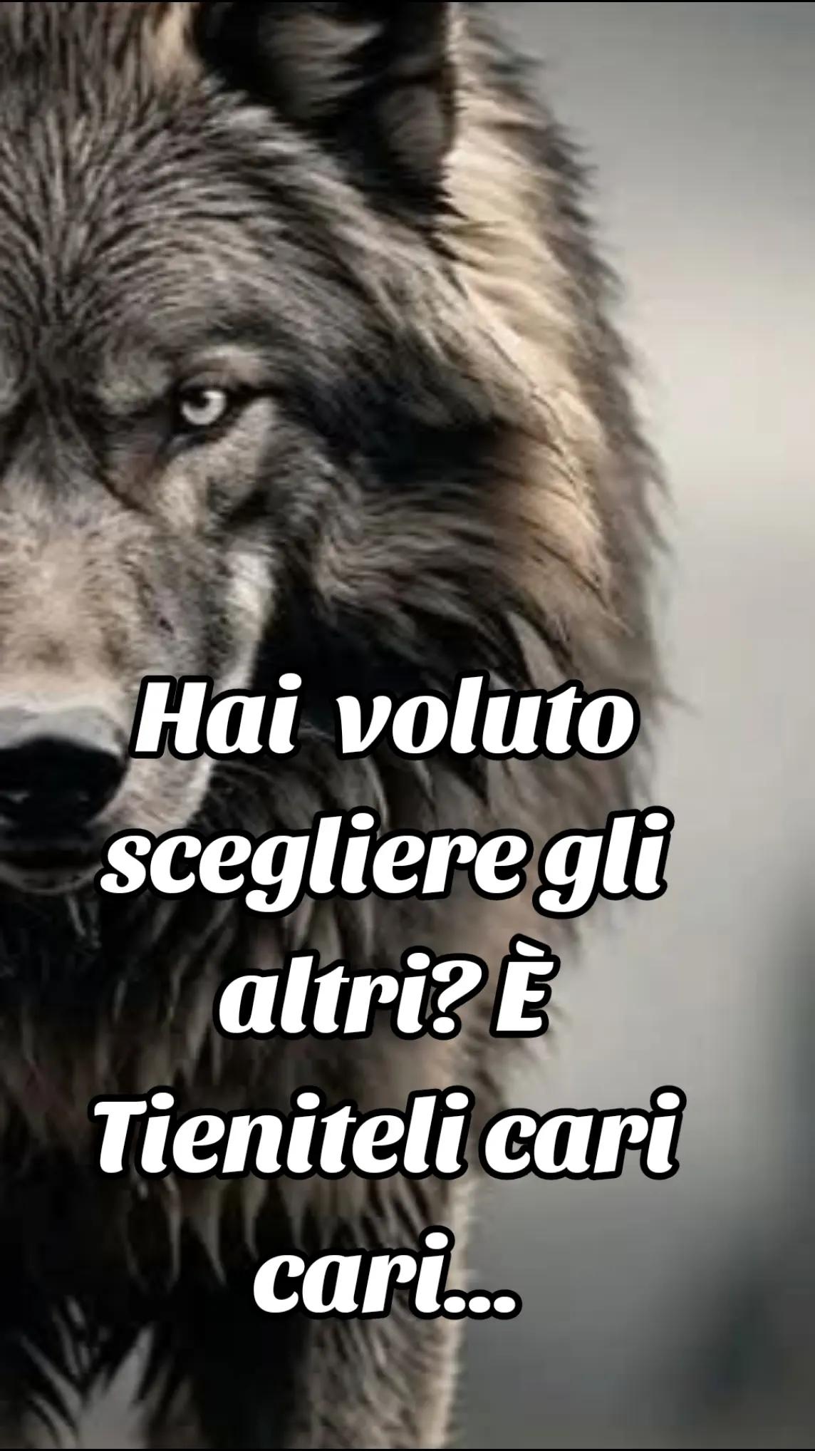 @๐บ๐ฝCrazy Wolf.