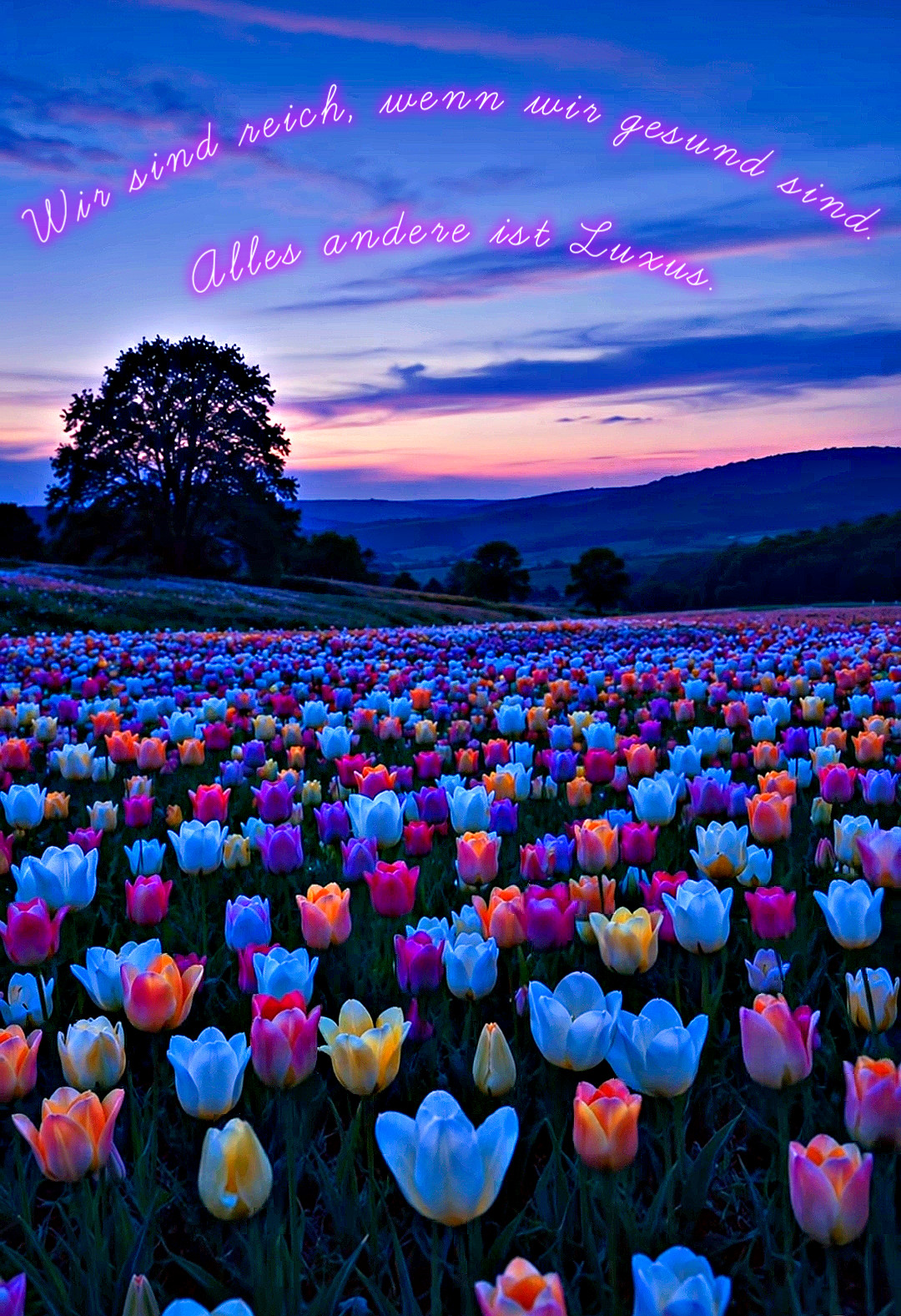 @Rainbowshit13🌺