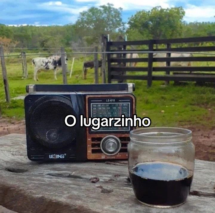 @GOIANO👨🏽🌾🇧🇷