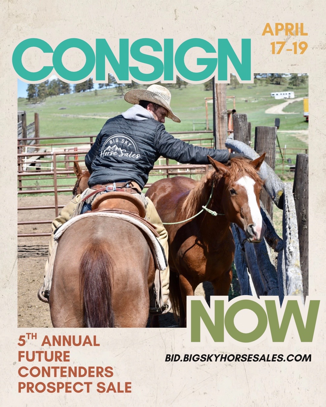 @Big Sky Horse Sales