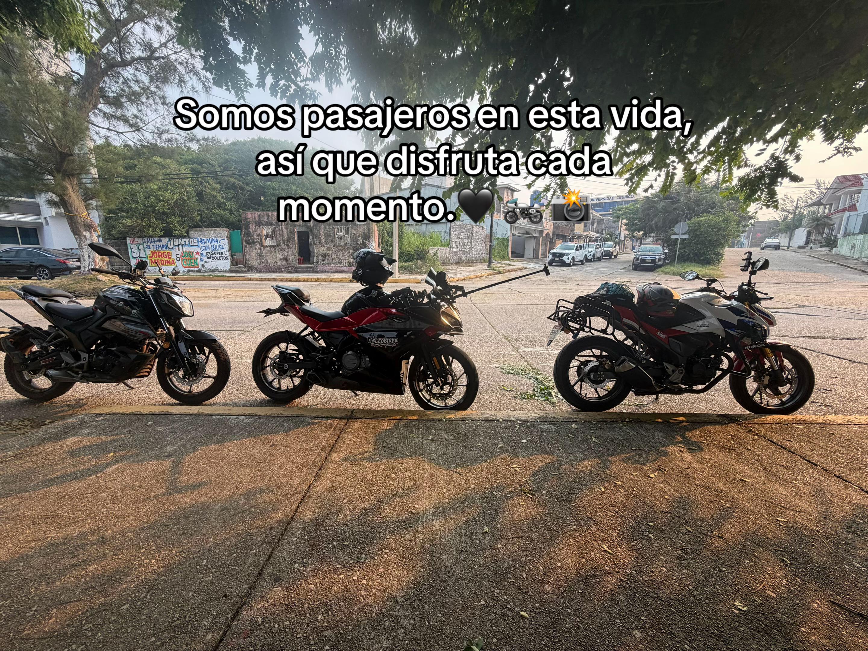 @gab0_bm