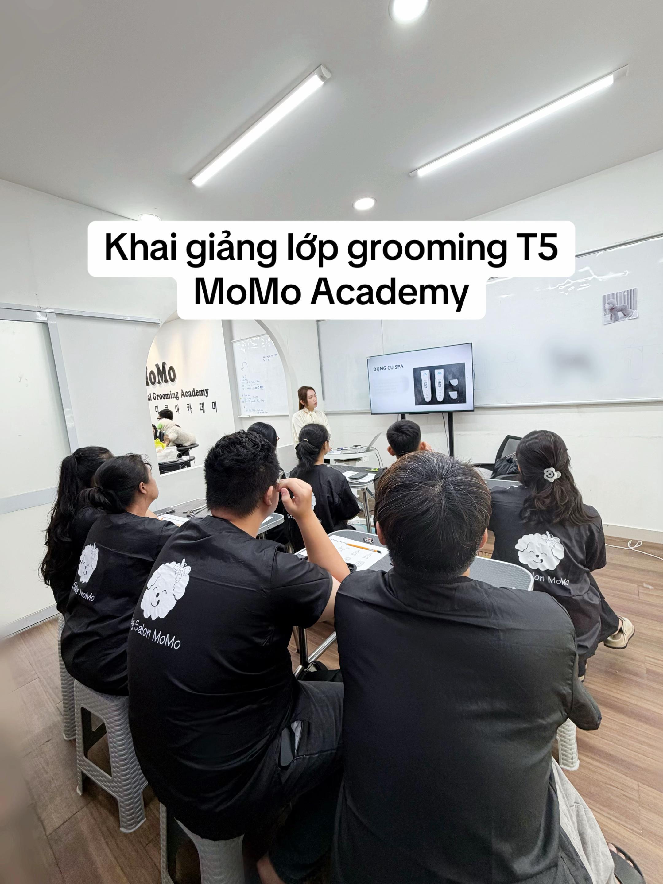 @TuongVan Petstylist