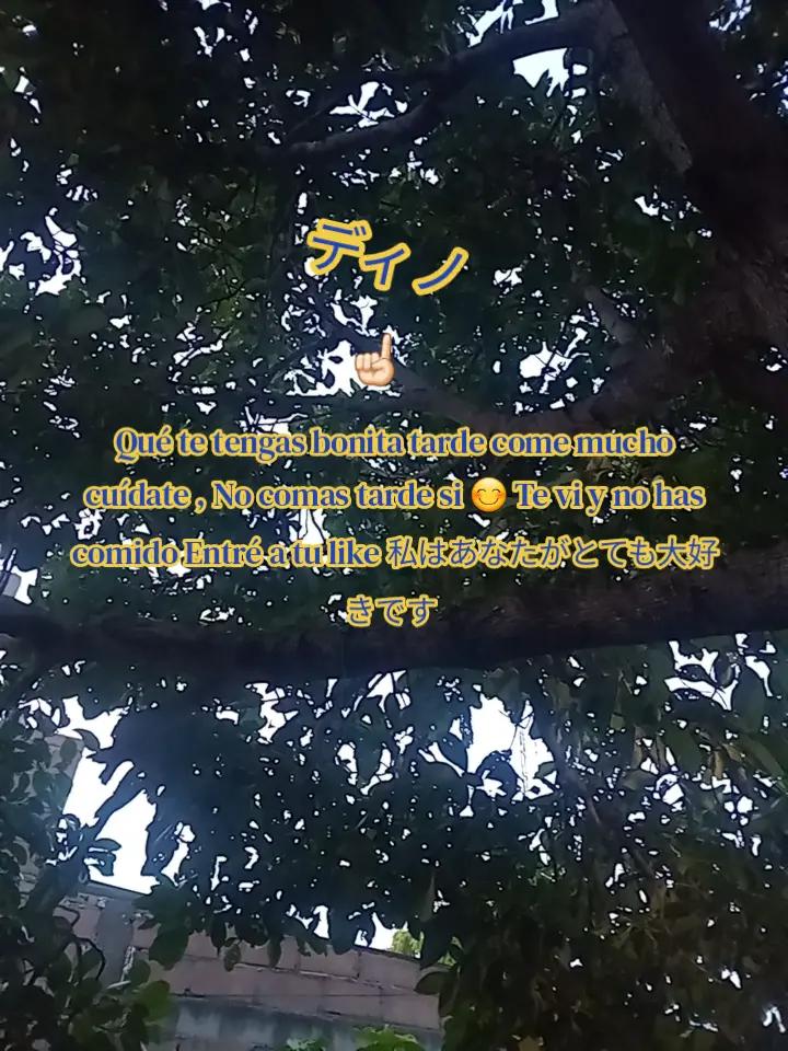 @lakita__yt 💞🎶