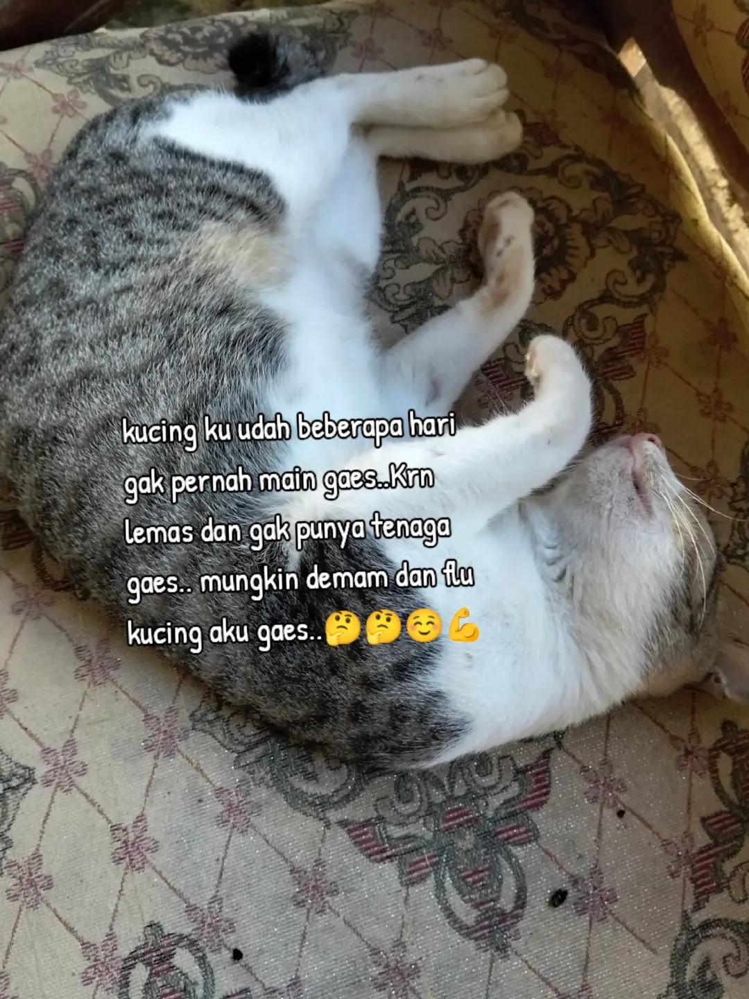 @cinta dalam"doa