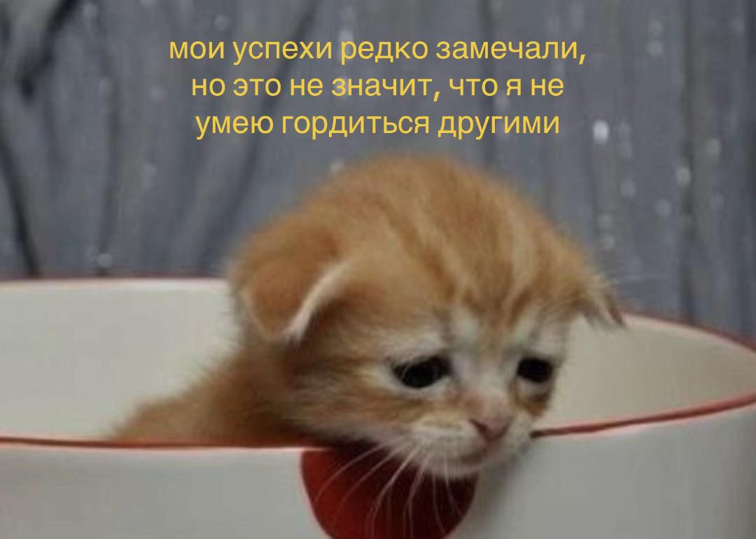 @ретвис