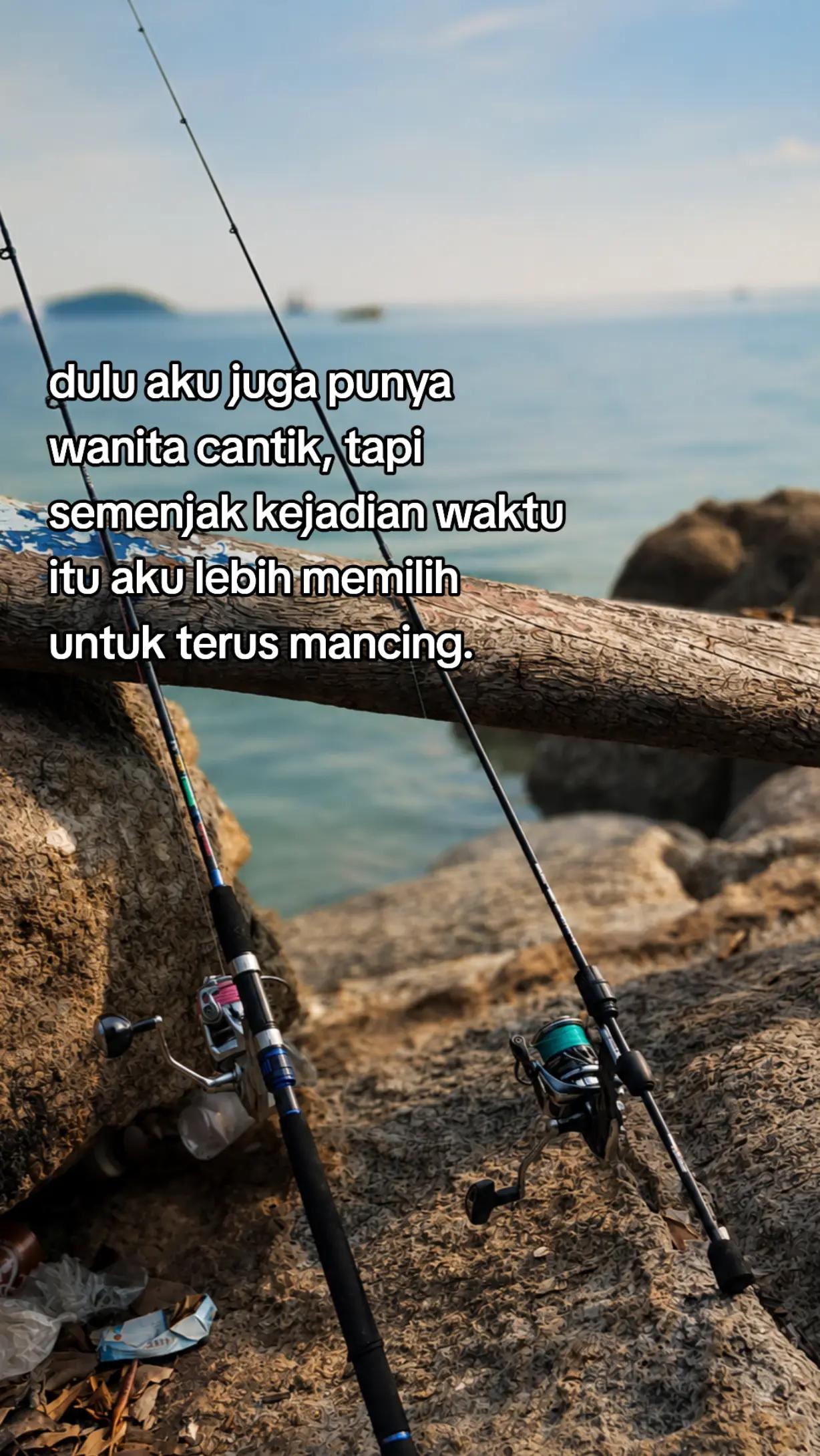 @Tahu Bulat