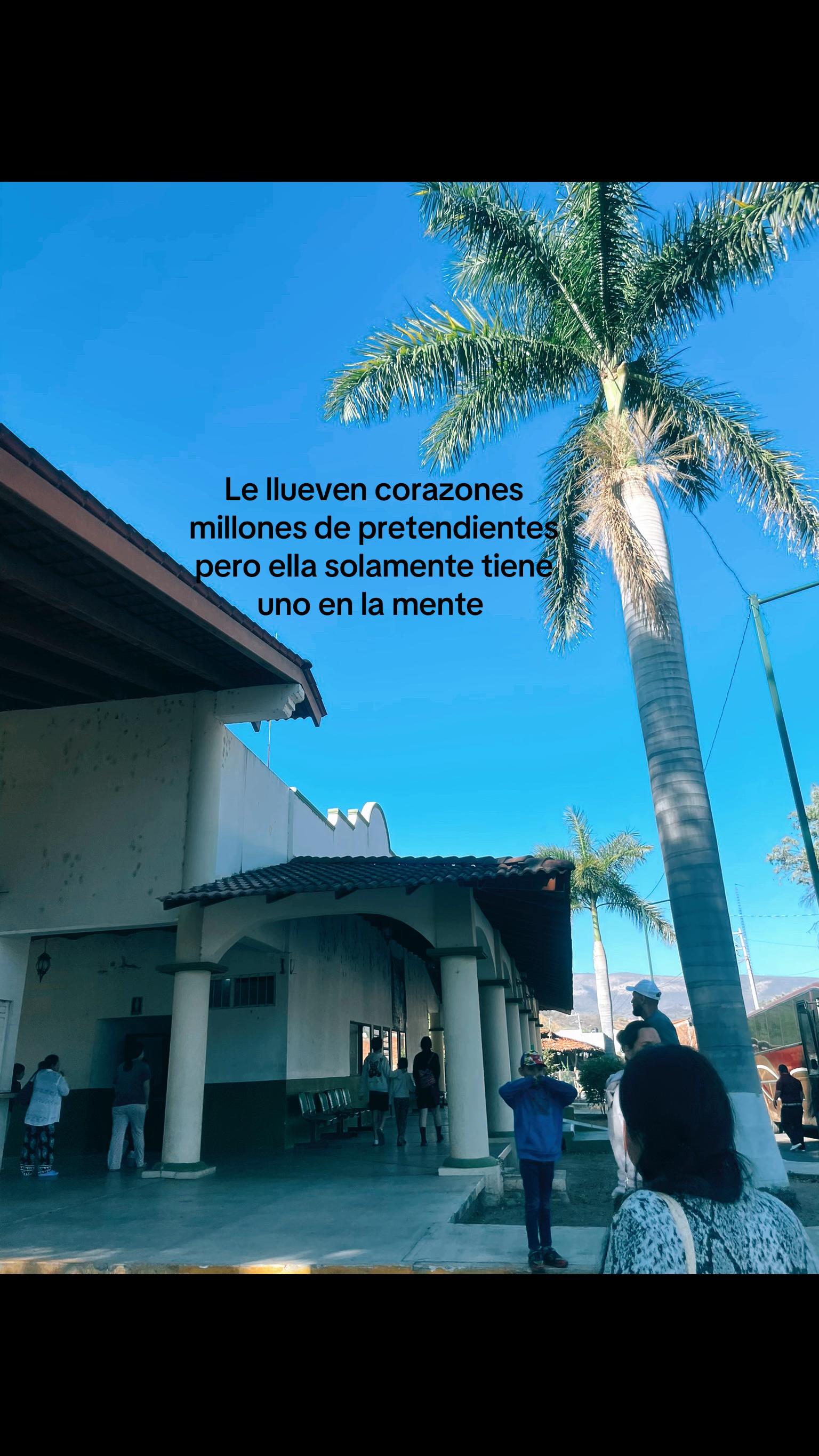 @ᥫ᭡ 𝒮𝓉ℯ𝓅𝒽𝒶𝓃𝒾ℯ⚡️