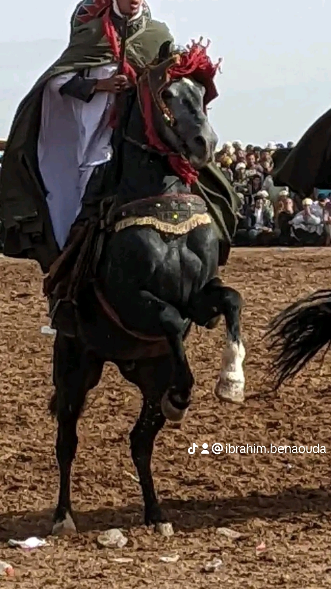 @Ibrahim Benaouda