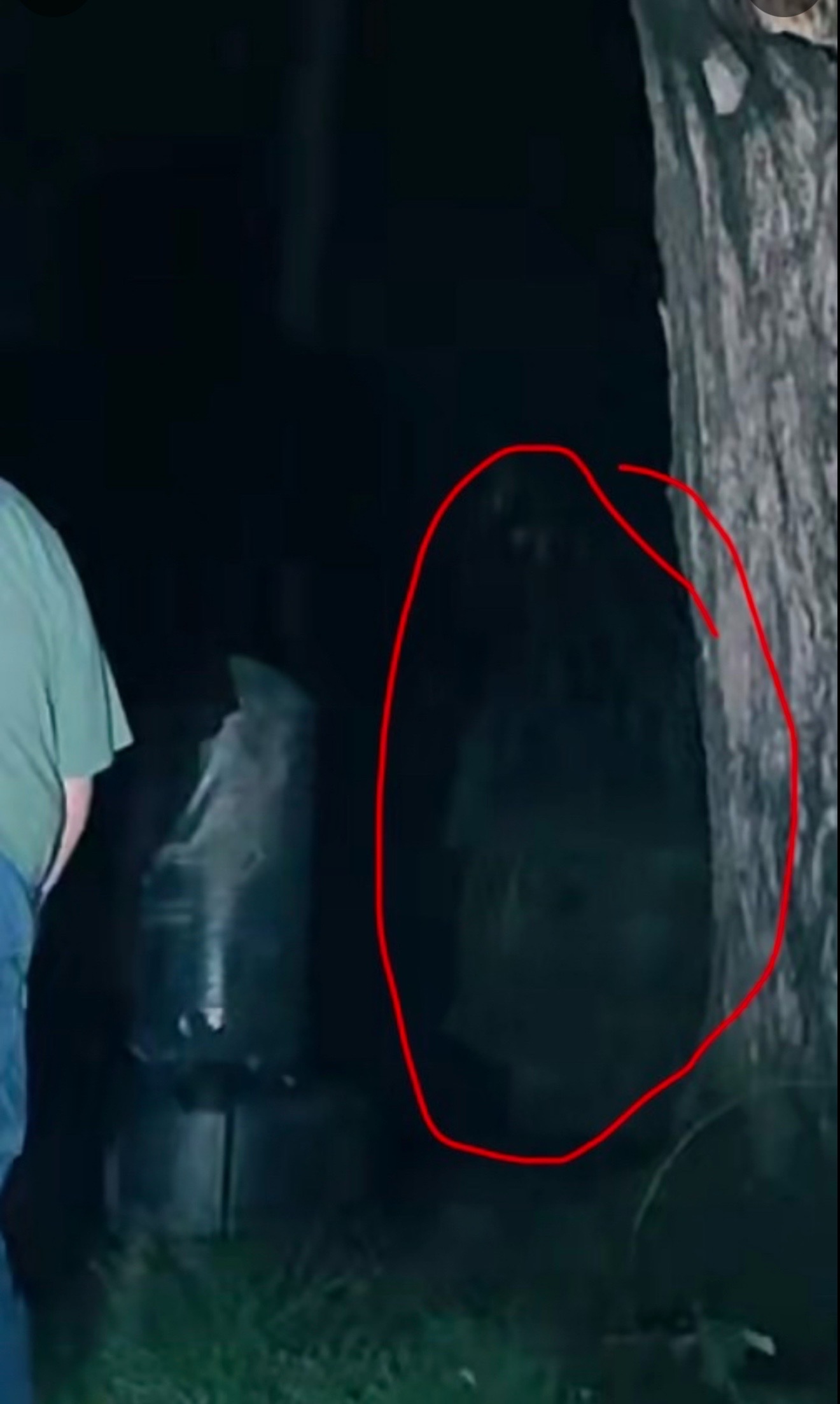 @🕯️✨Porchlight Paranormal✨🕯️