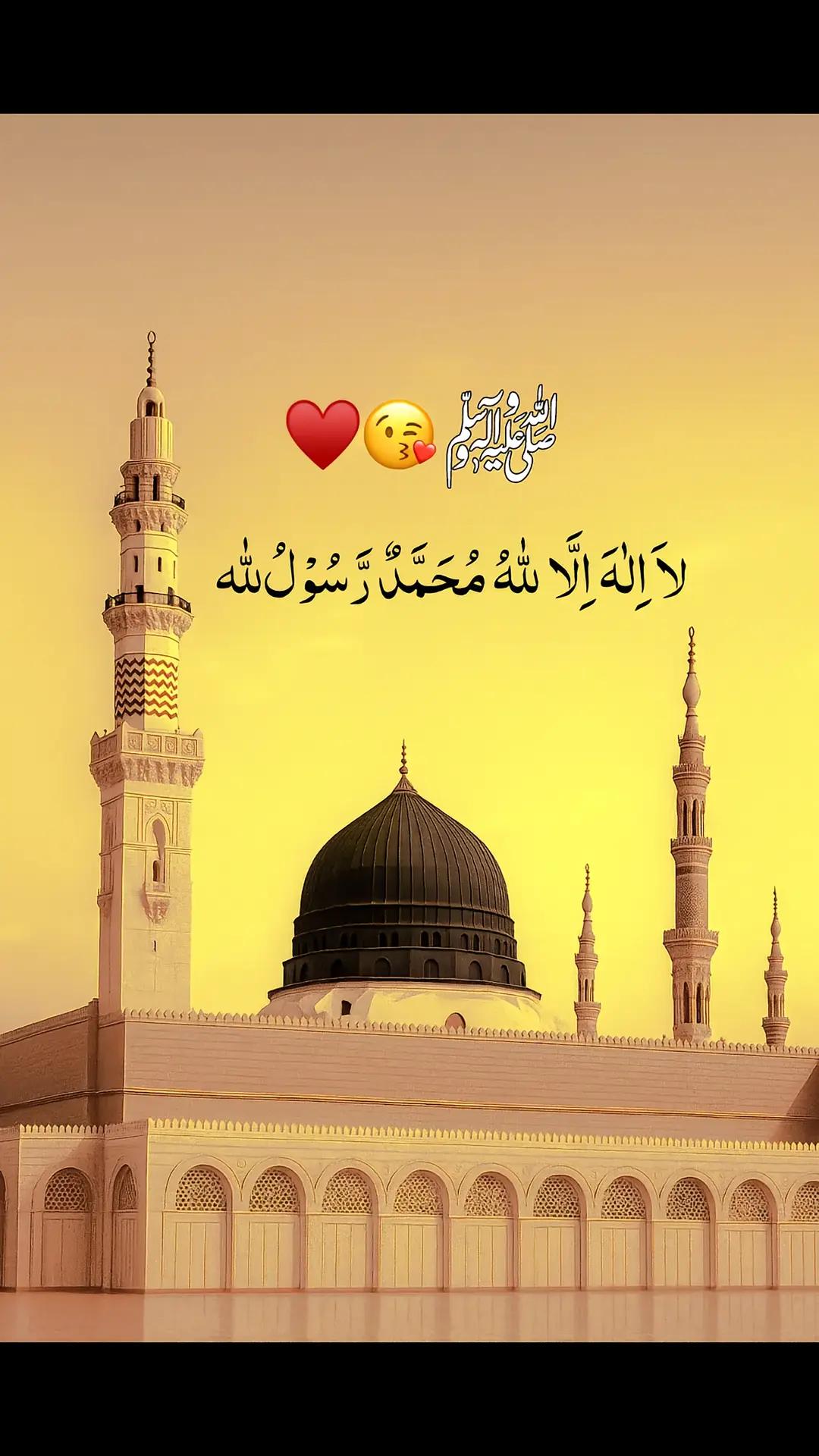 @mushtq❤️🌹