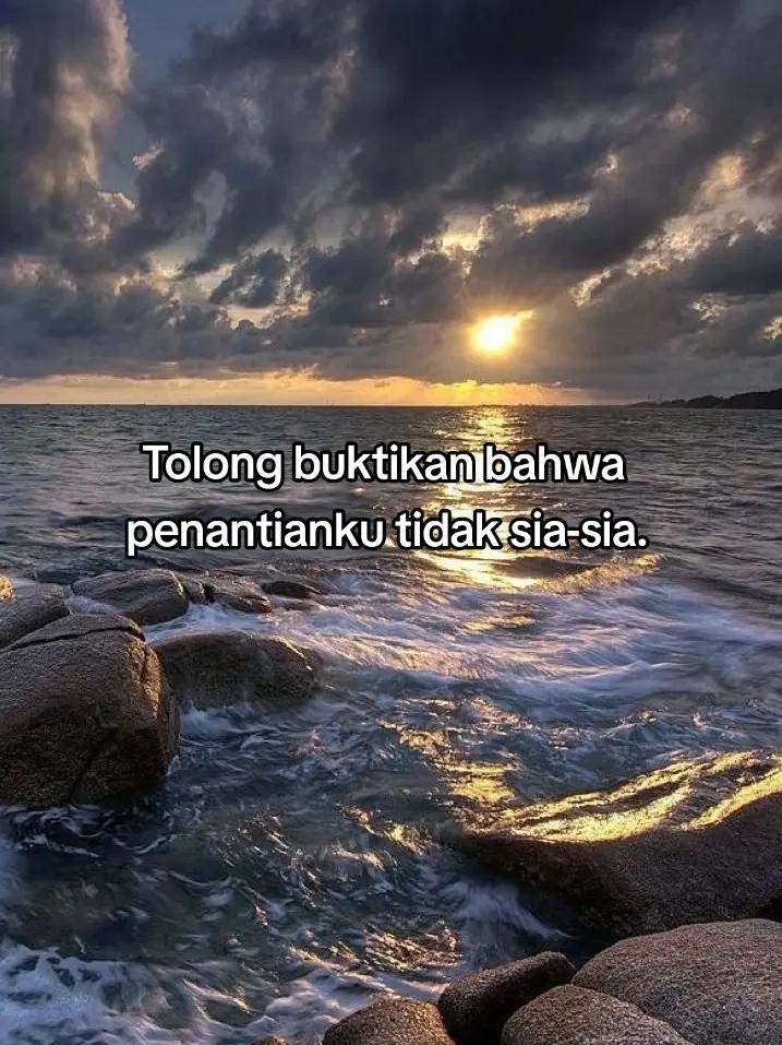 @˚˖𓍢ִִ໋🌊🦈˚˖𓍢ִ✧˚