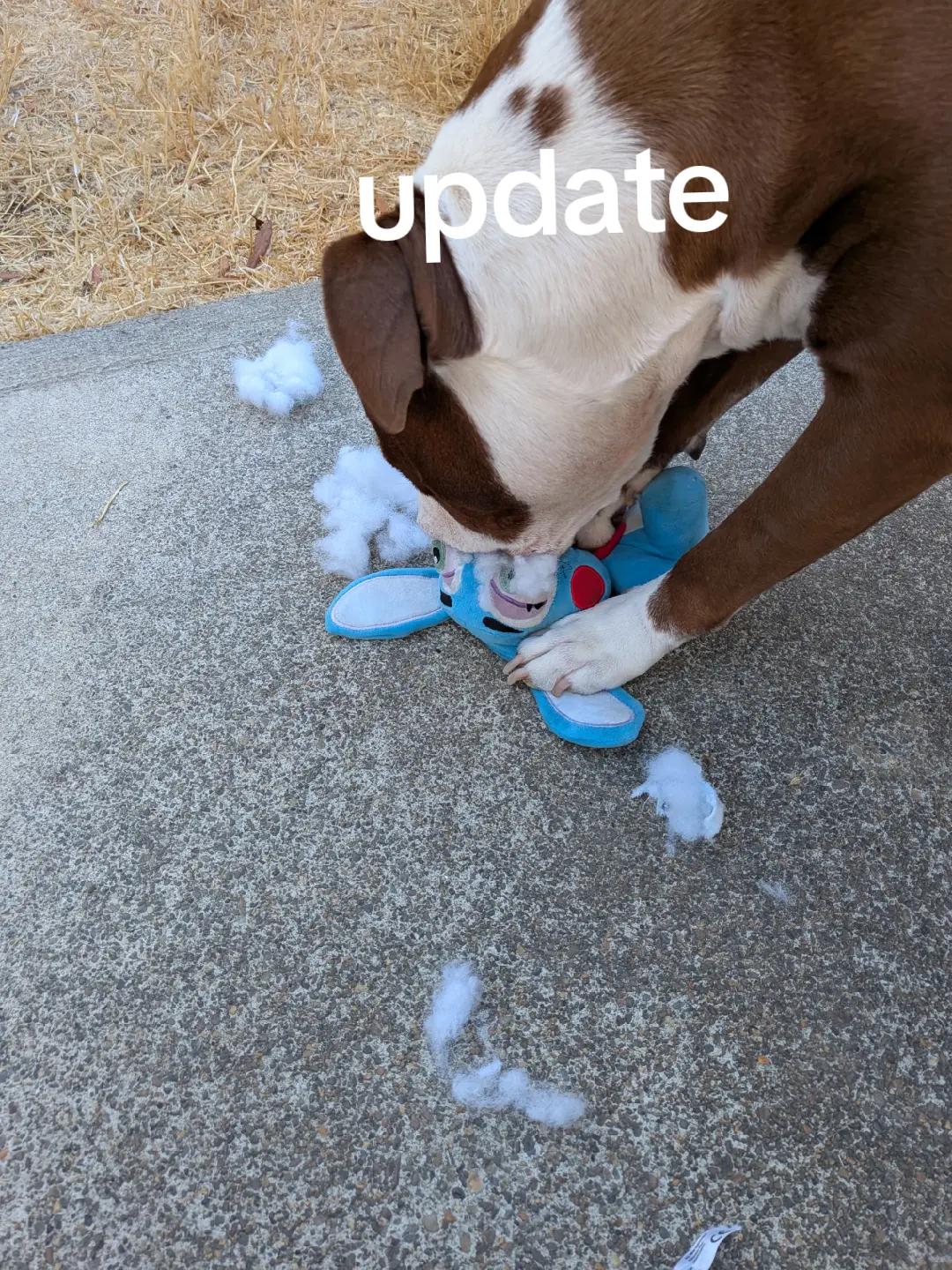 @bob