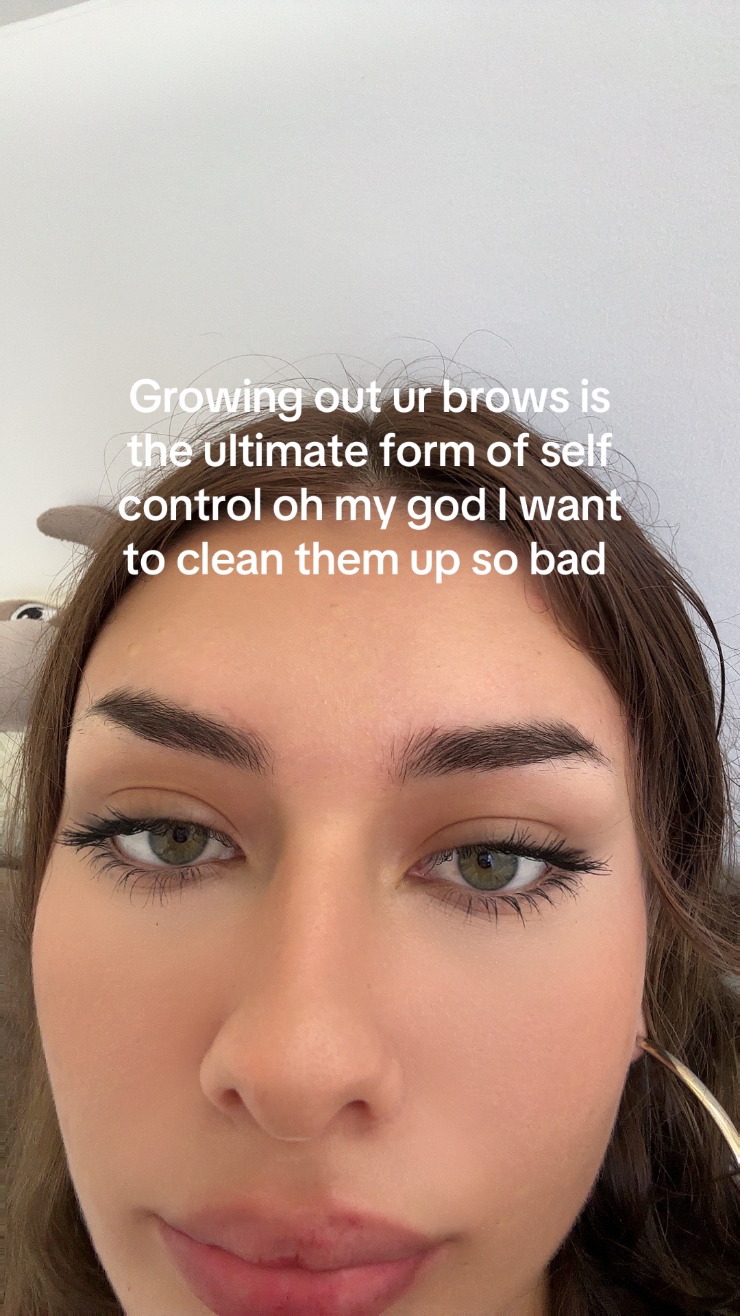 @sryforbeingreal