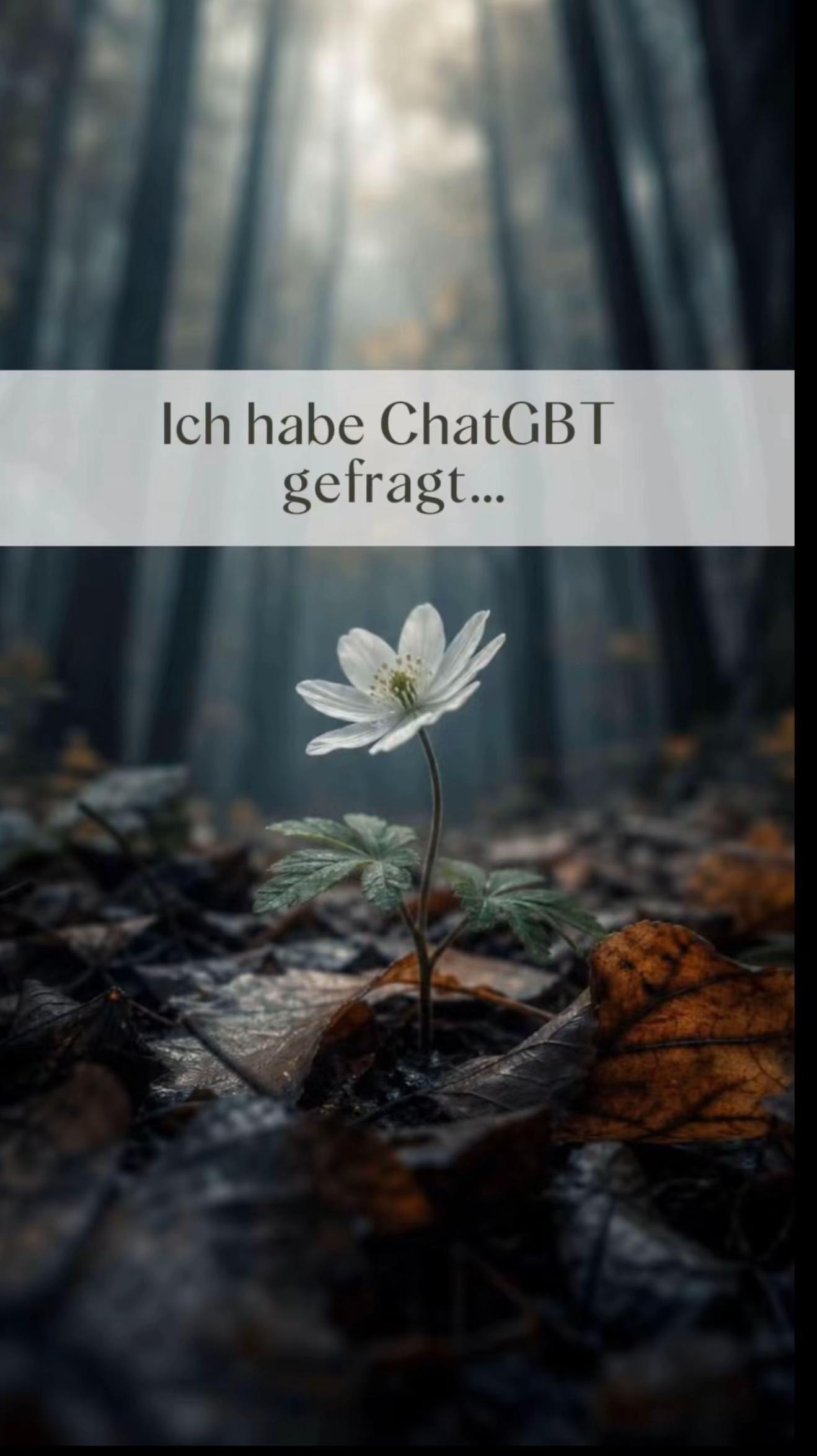 @✨Maurice Richter🕊️❤️