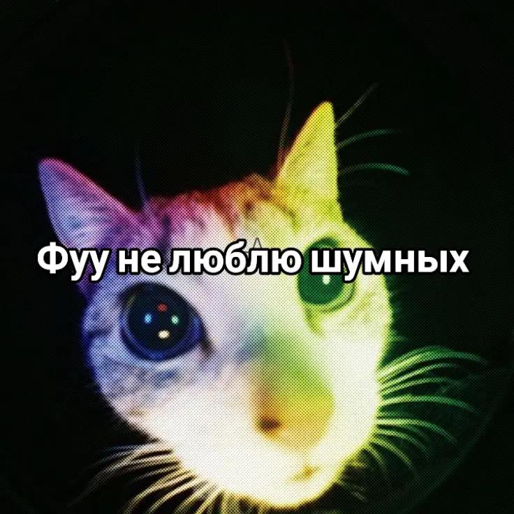 @*+:。.。Мото Джуди。.。:+*
