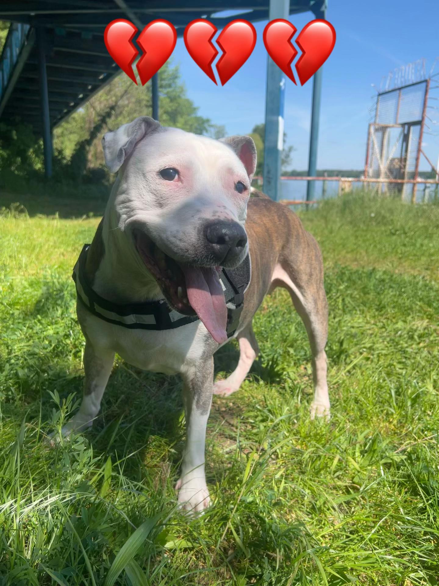 @Milly 🐶🥰