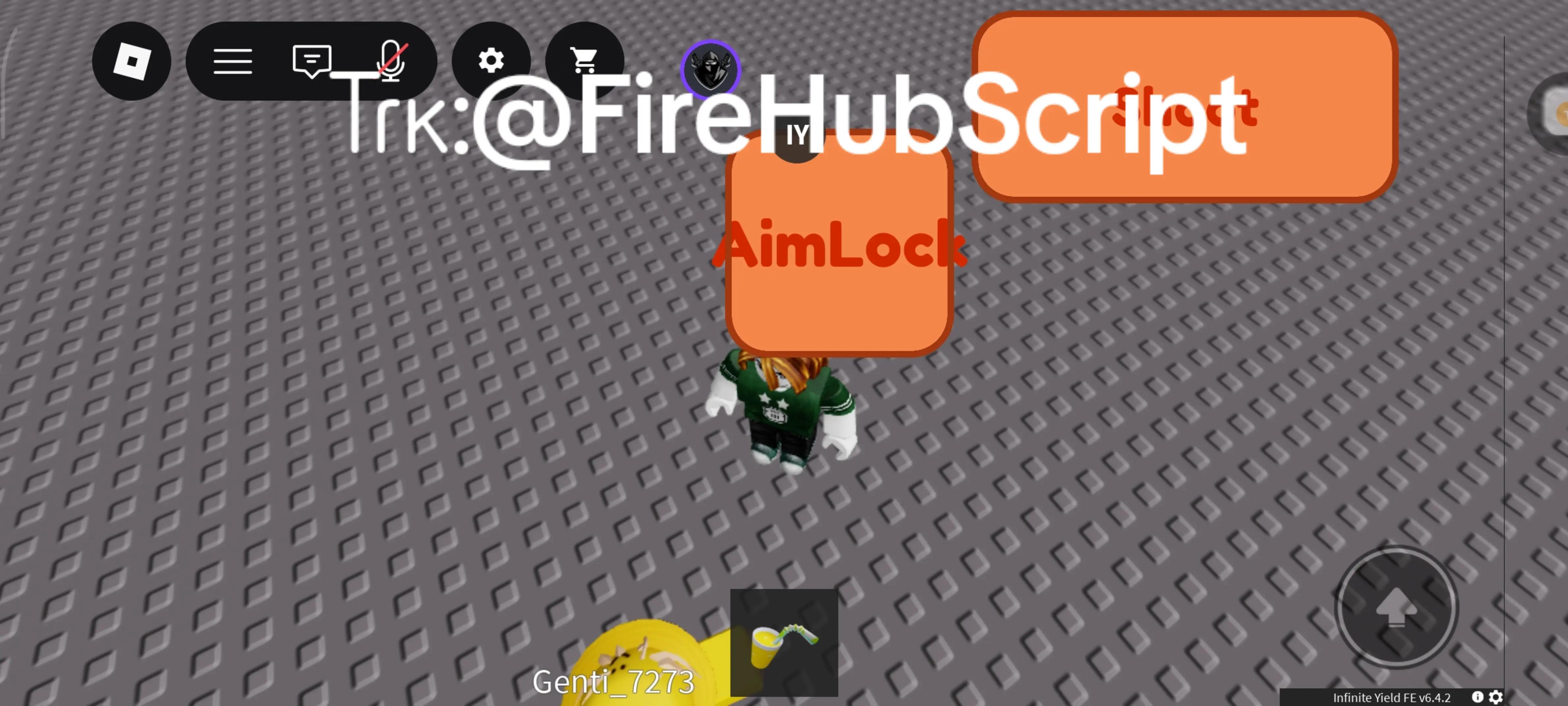 @FireHub