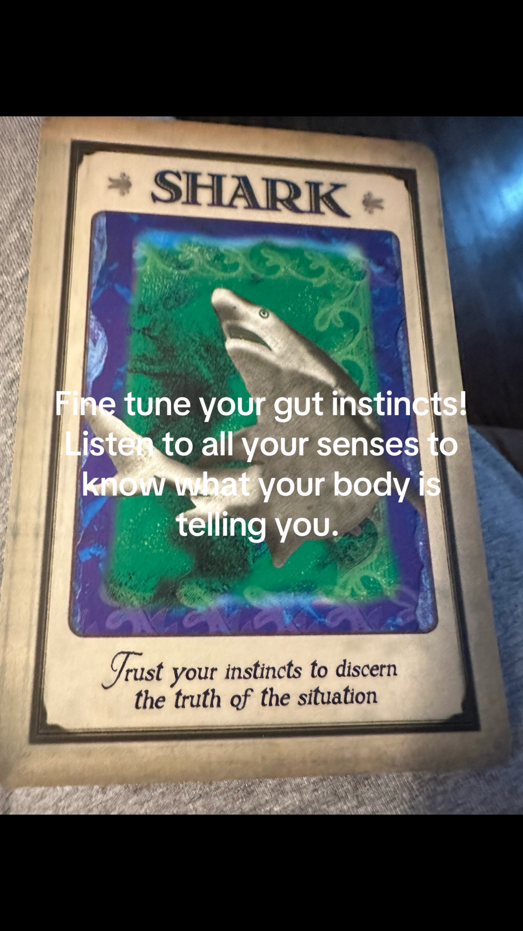@insightfultarotwithshell