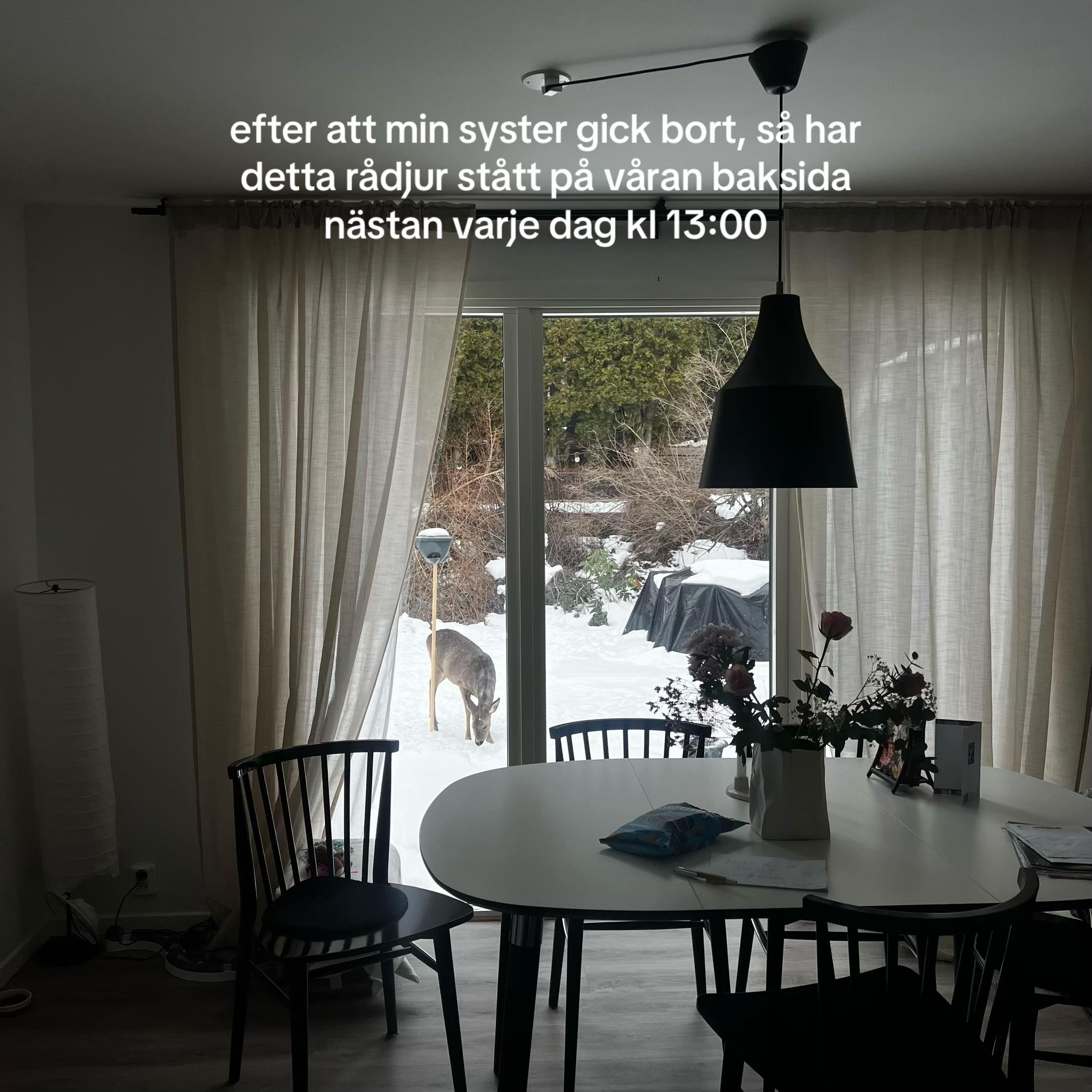 @Ella Törnblom
