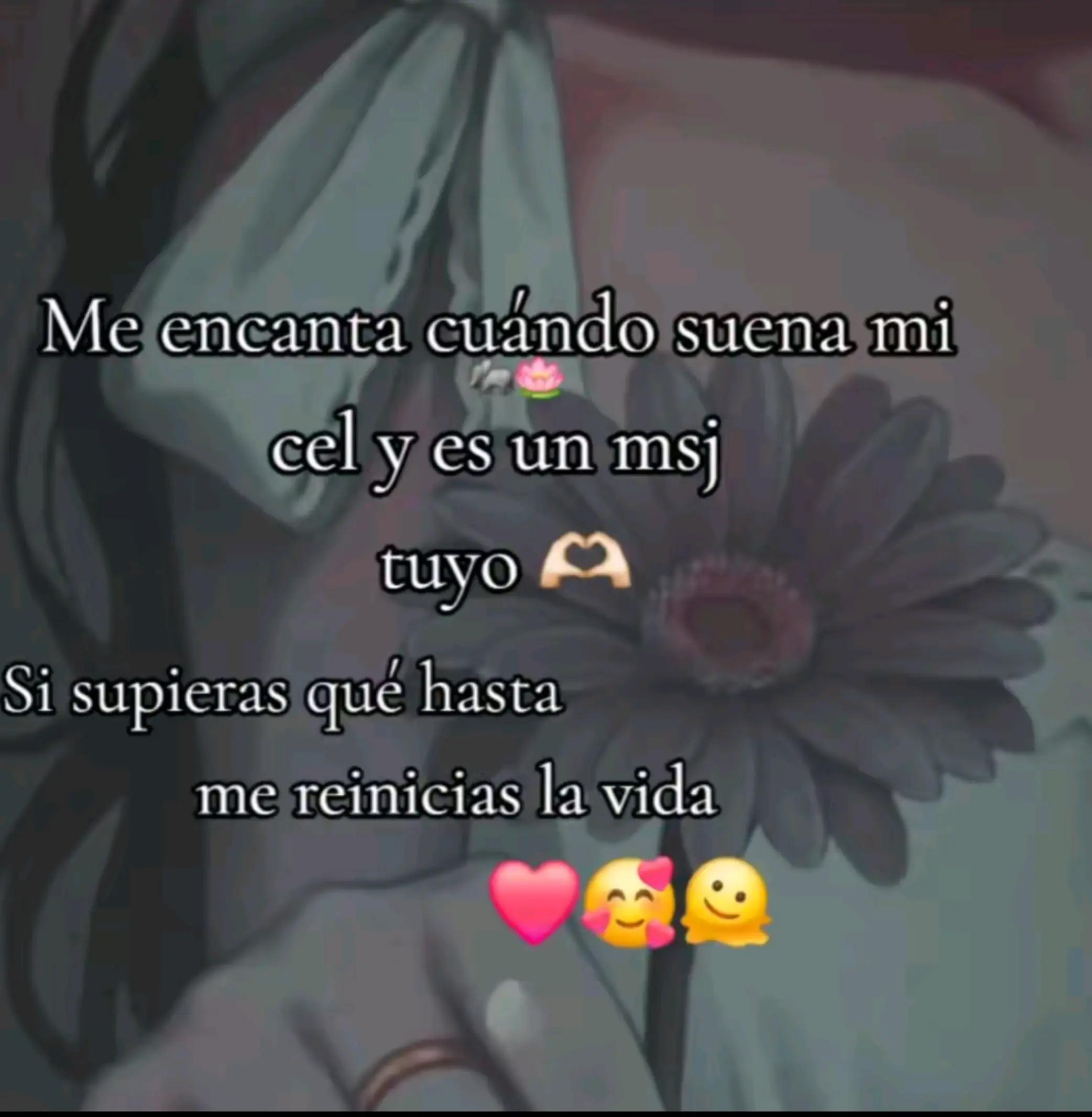 @🐰🇲🇽 MARYPEME 🇲🇽🐰