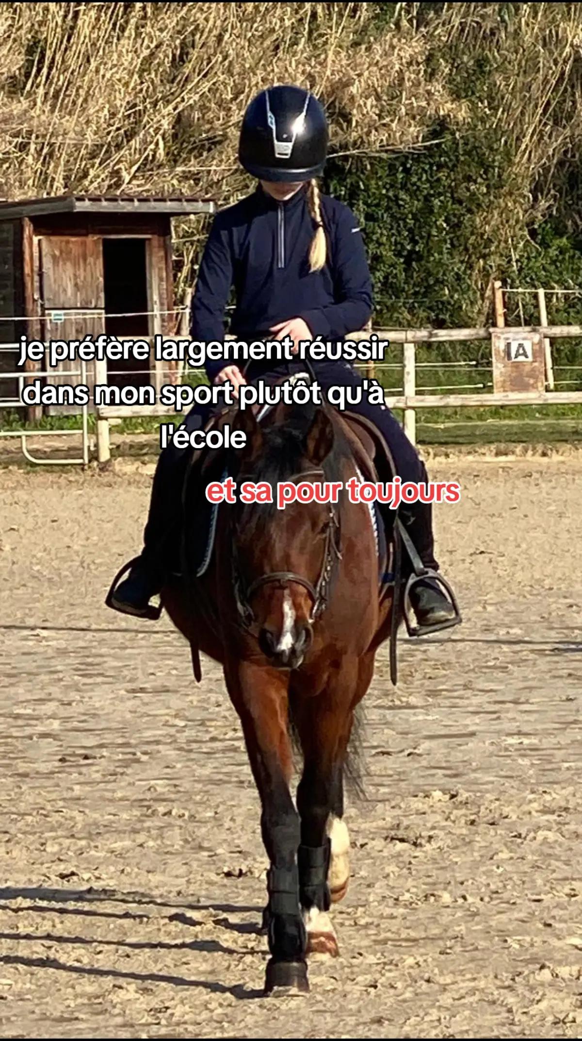 @~•°Moi_et_idream°•~