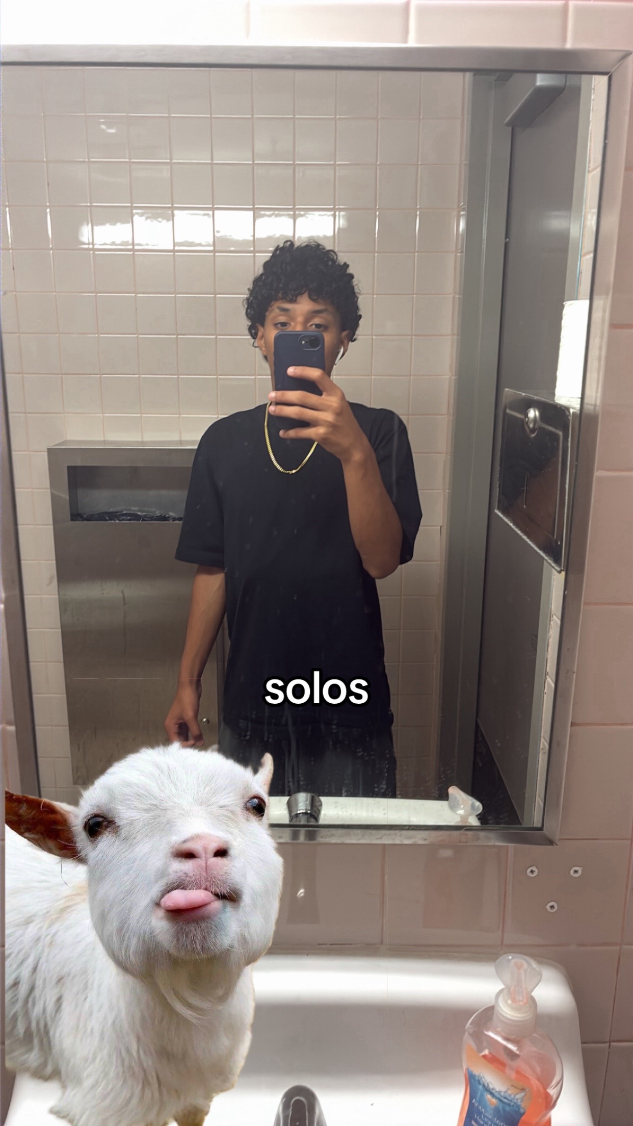 @siah
