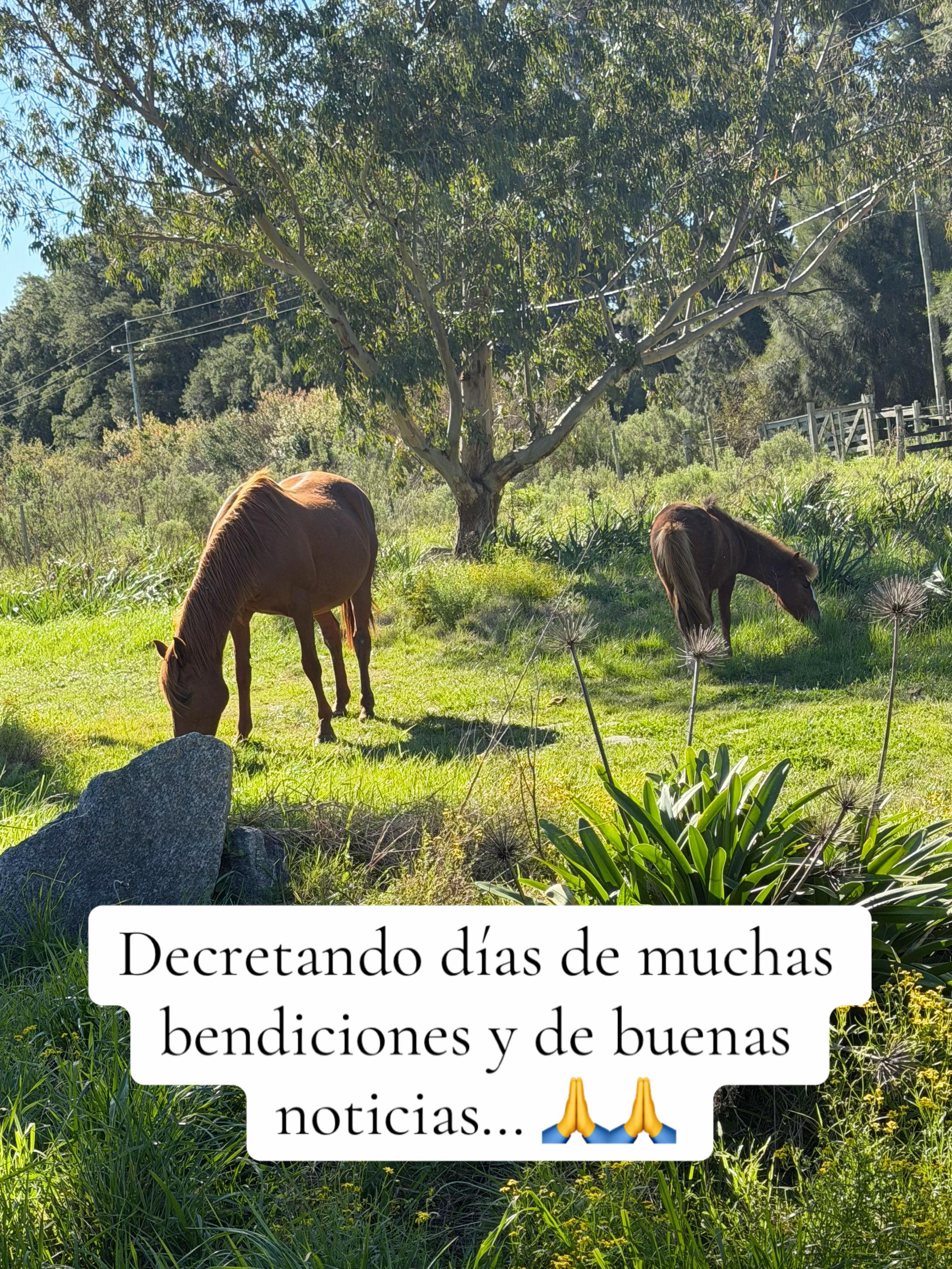 @C@R🧿