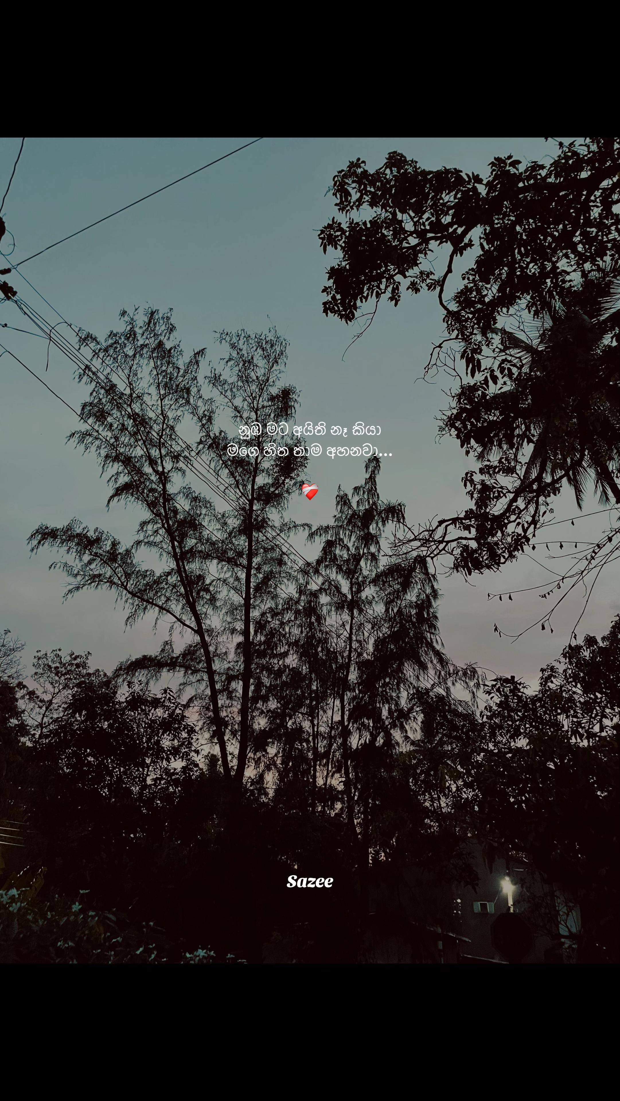 @𝐒 𝐀 𝐍 𝐈 • 