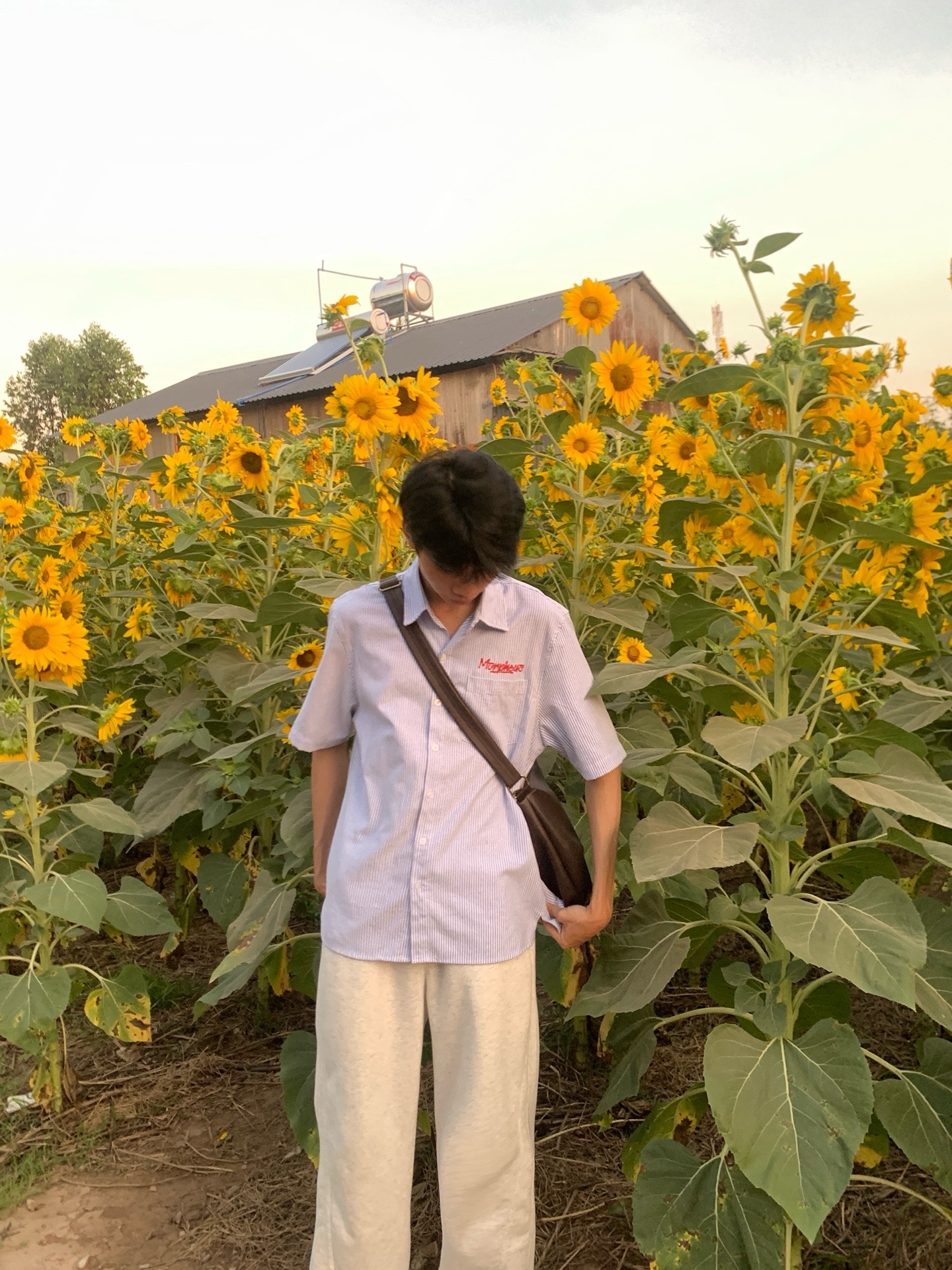 @Hgiangg🧩