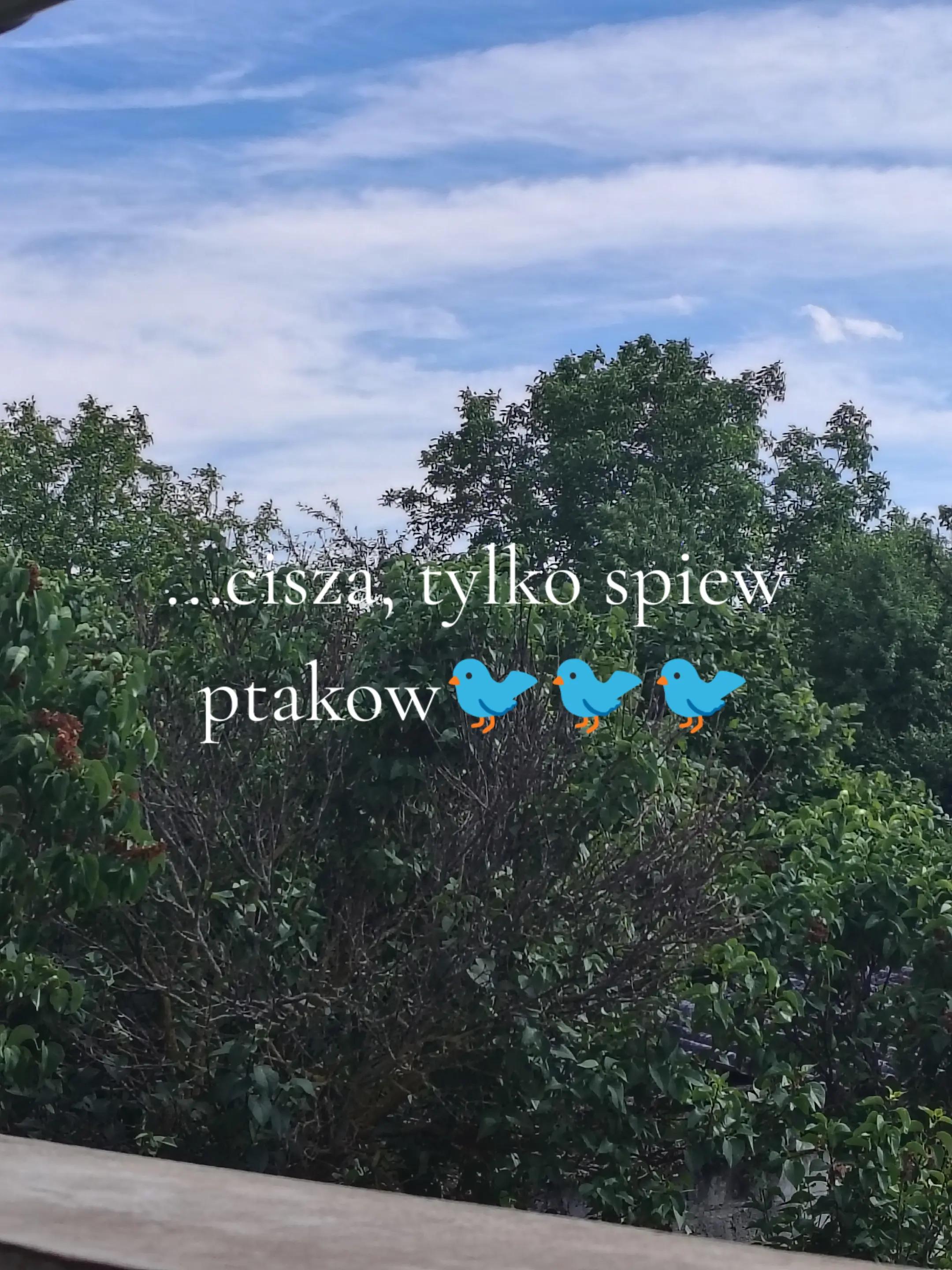 @NeumiNagyi
