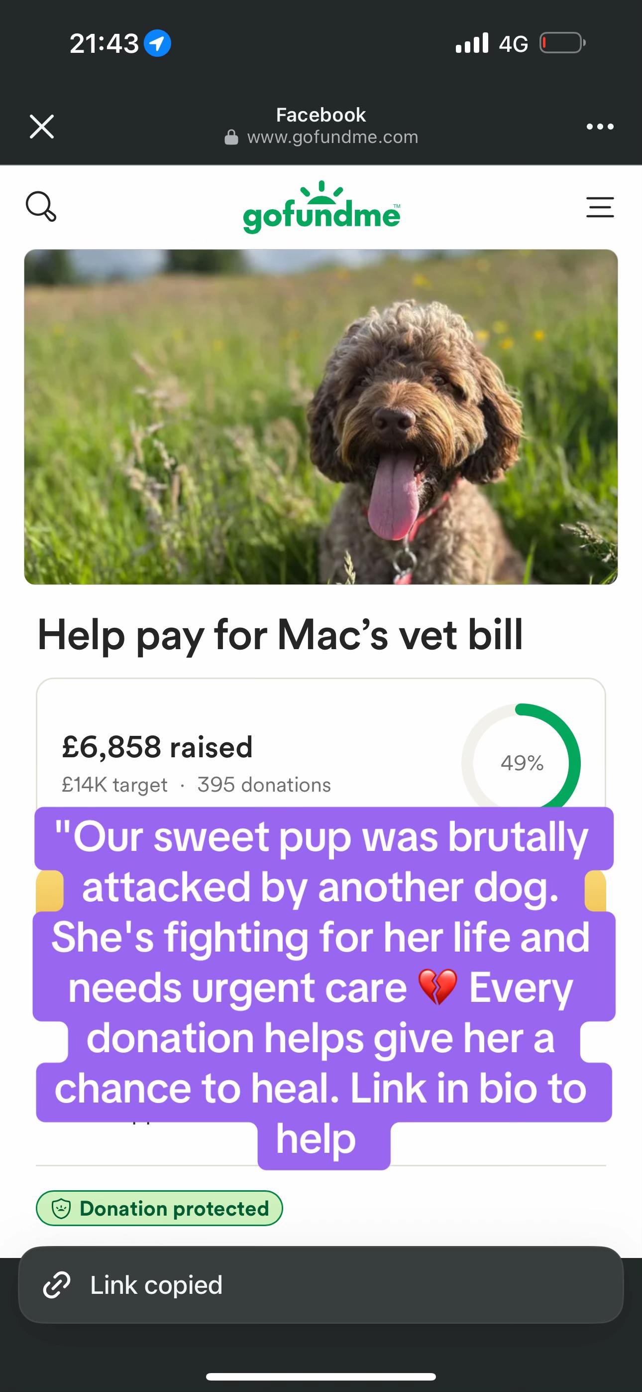 @Goldenwaggytales