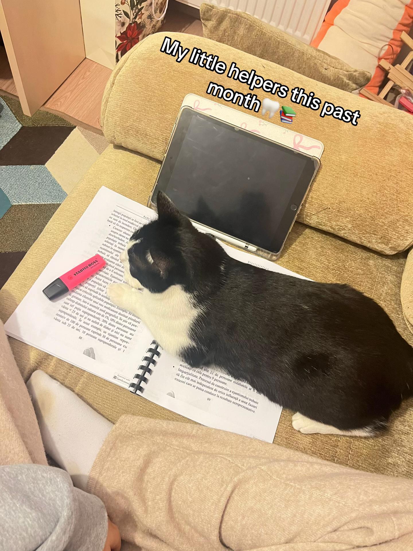 @Biutz